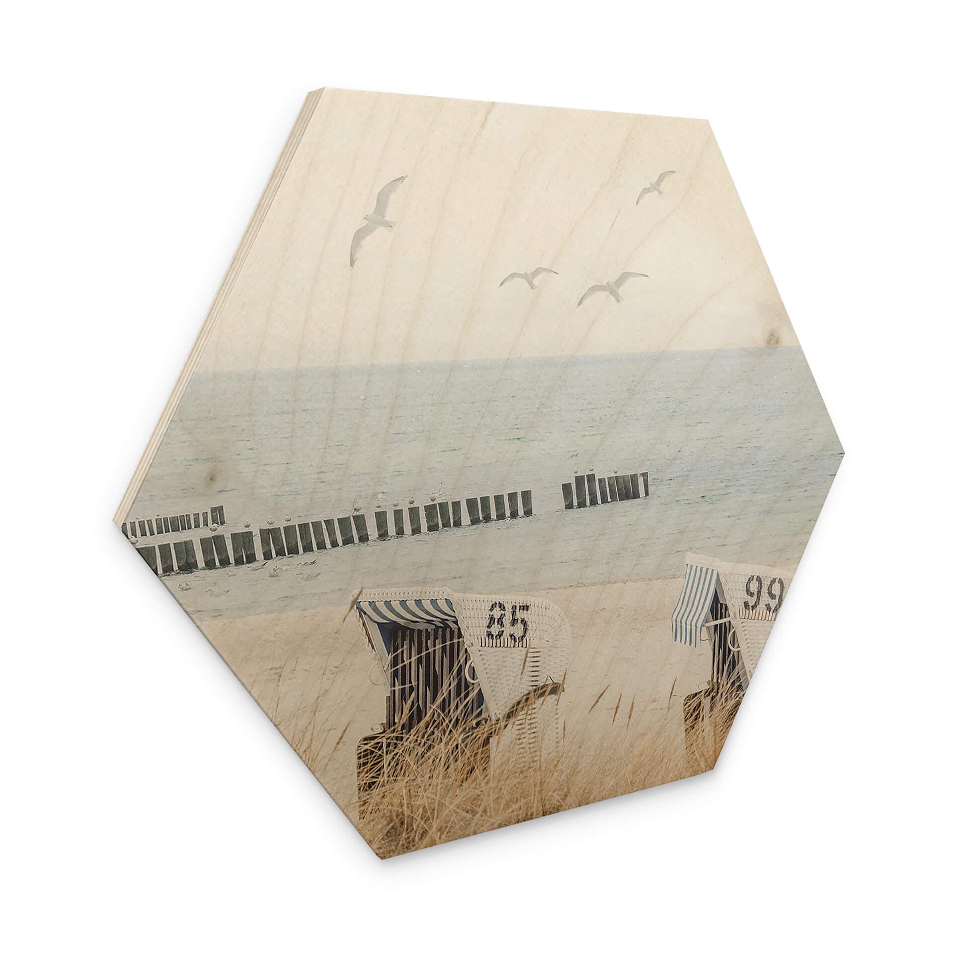 Hexagone - Bois La magie de la côte le long de dunes sauvages