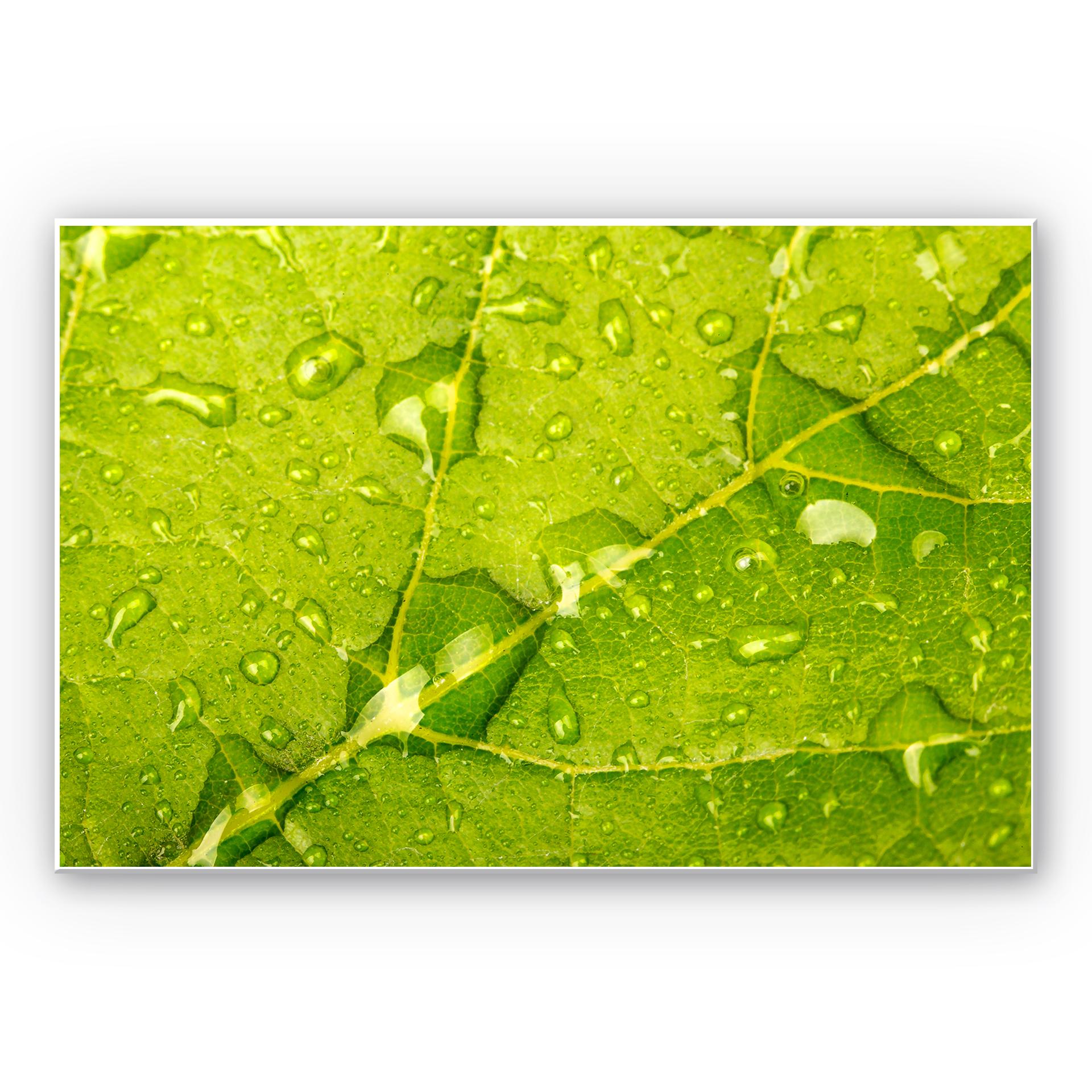 Tableau Forex - Perles d'eau
