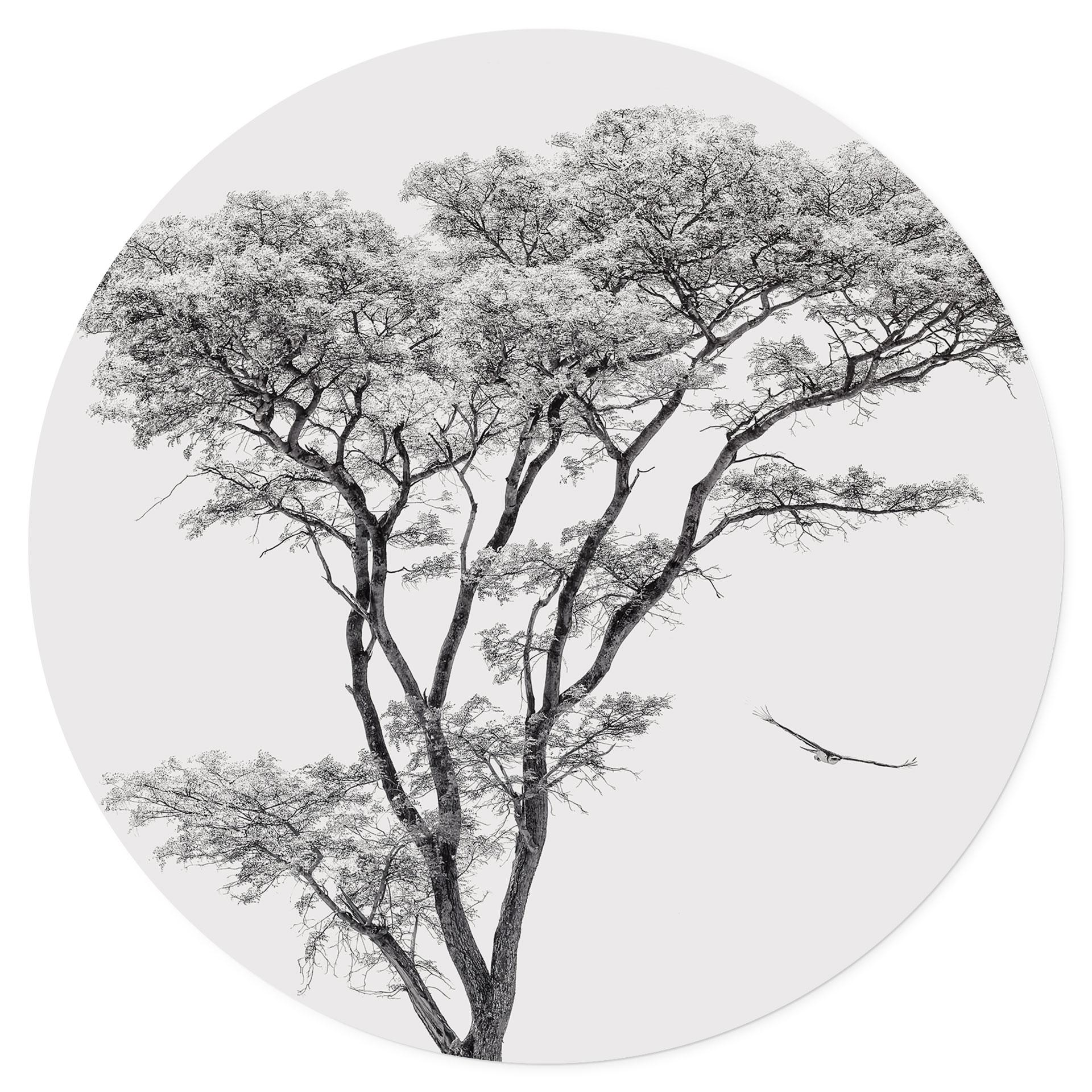 Vinilo decorativo Árbol minimalista en un paisaje tranquilo - Harina - Redondo