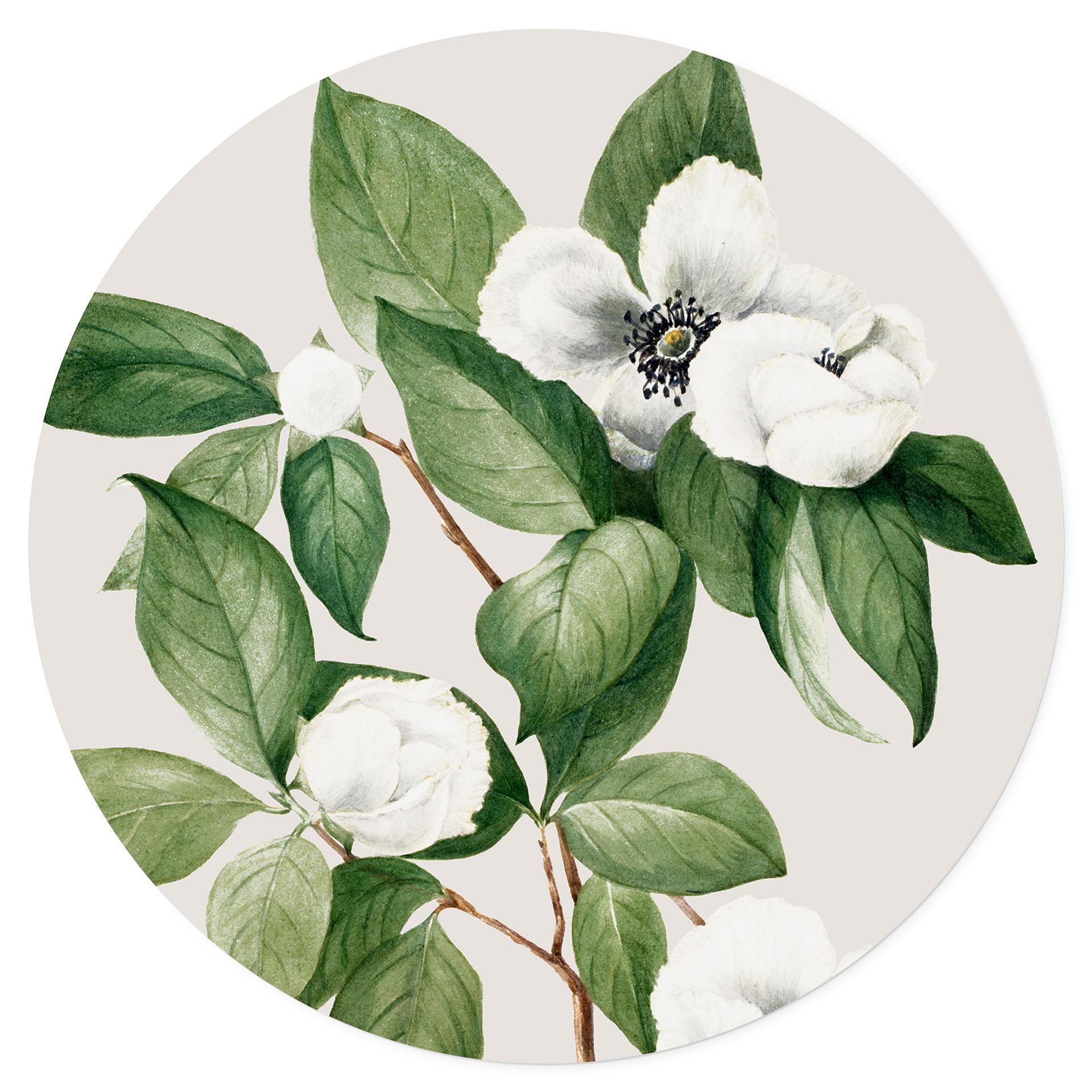 Muursticker botanische illustratie van een schijncamelia - Walcott - Rond