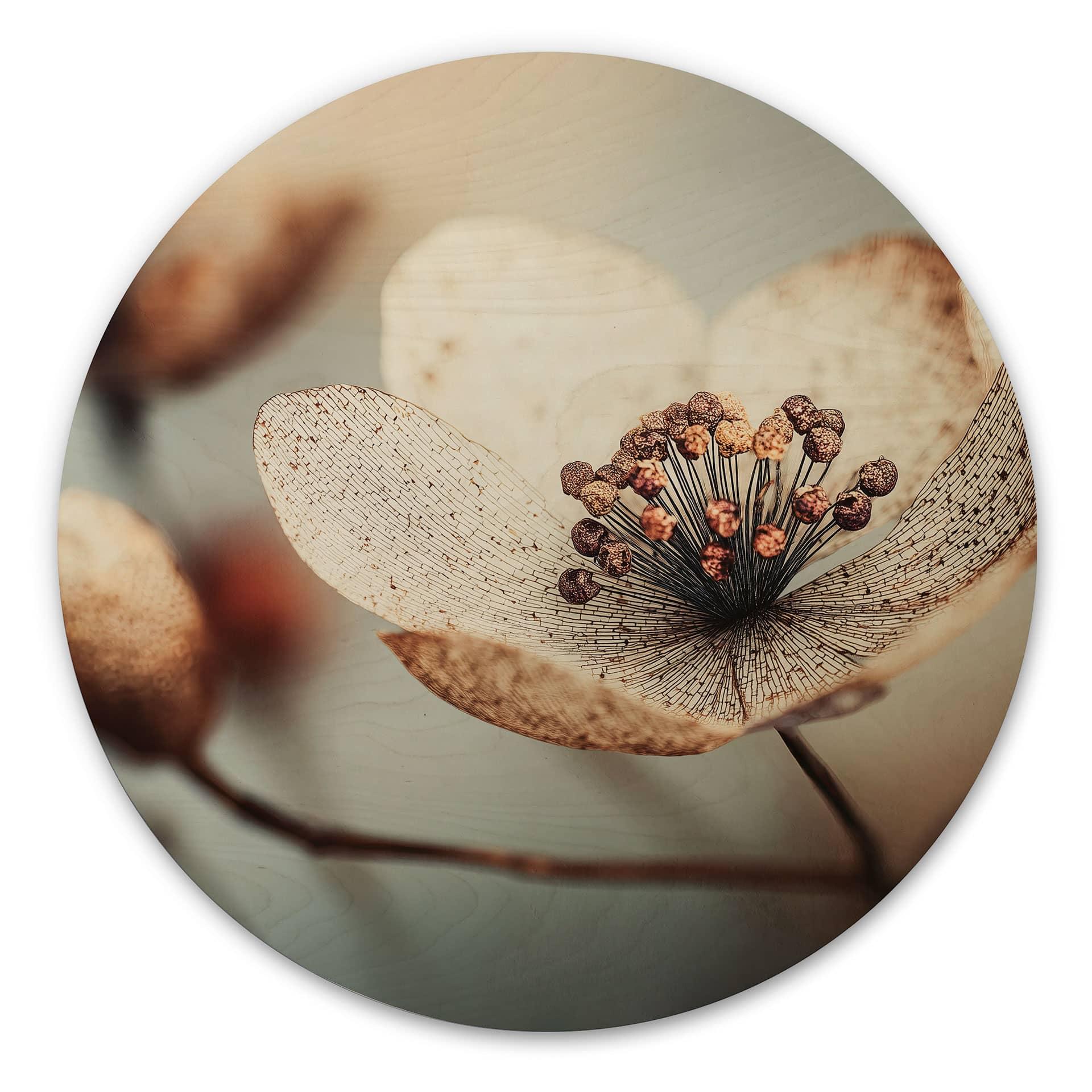 Billede af træ Boho tørret blomst makro - Treechild - Rund