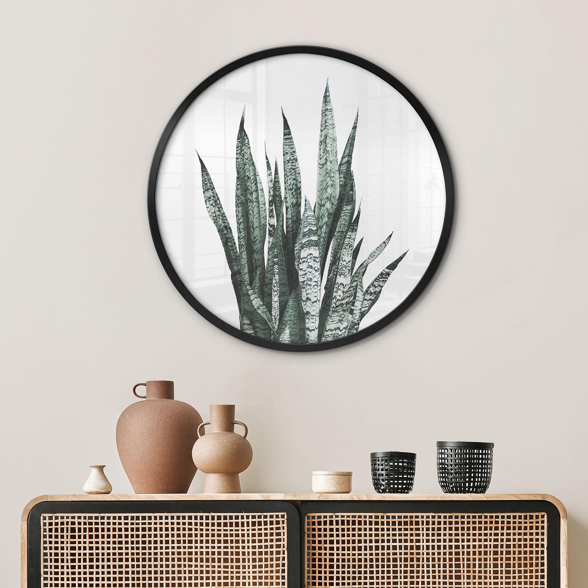 Plakat Plante - Sisi & Seb