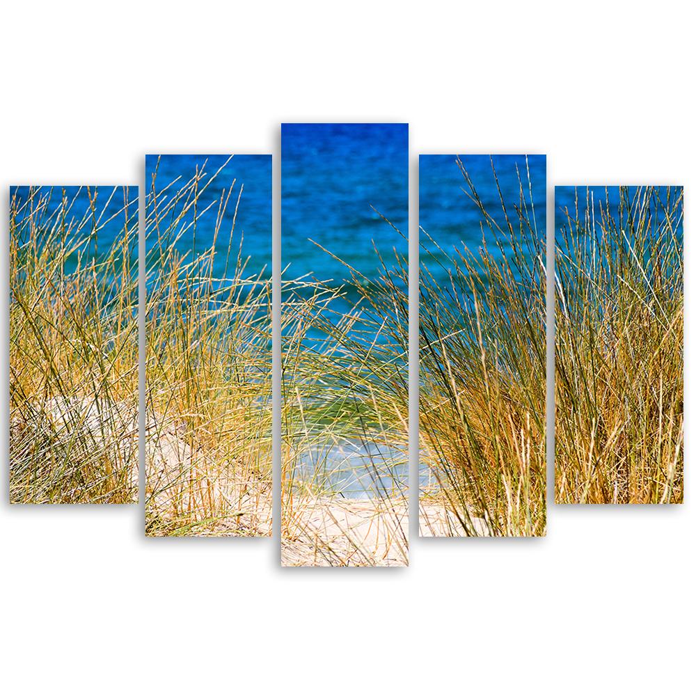 5 stuk canvas print, strand meer gras natuur