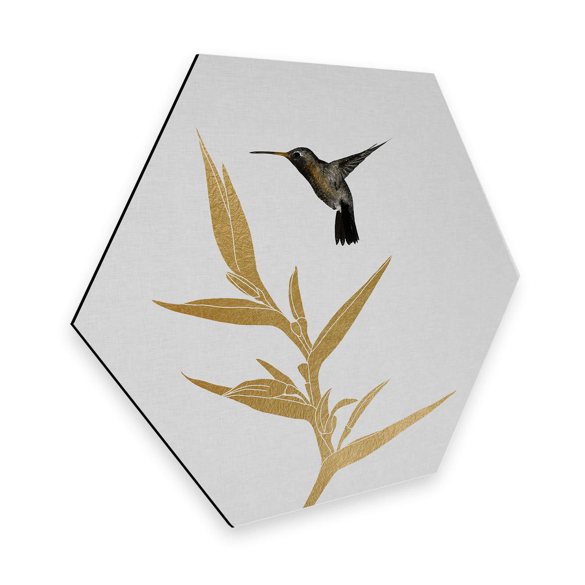 Hexagon Dibond Orara Studio - Hummingbird & Plant