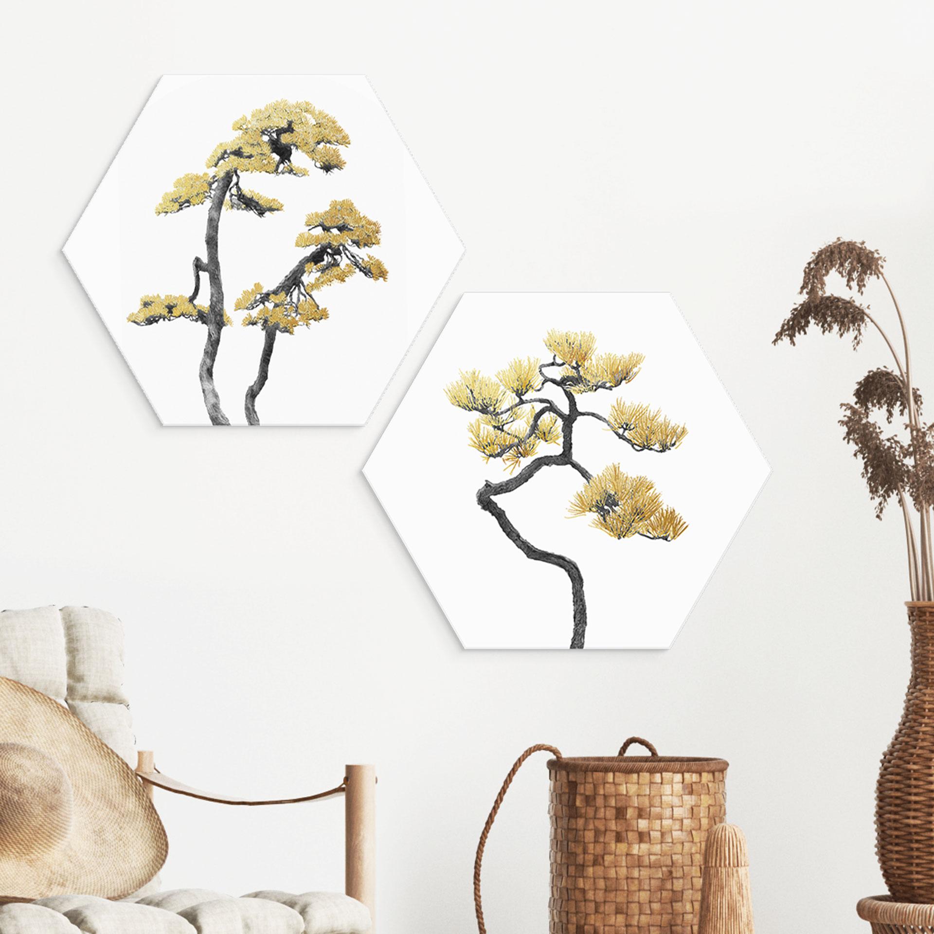 Hexagon Dibond Bonsai i balance - Amini