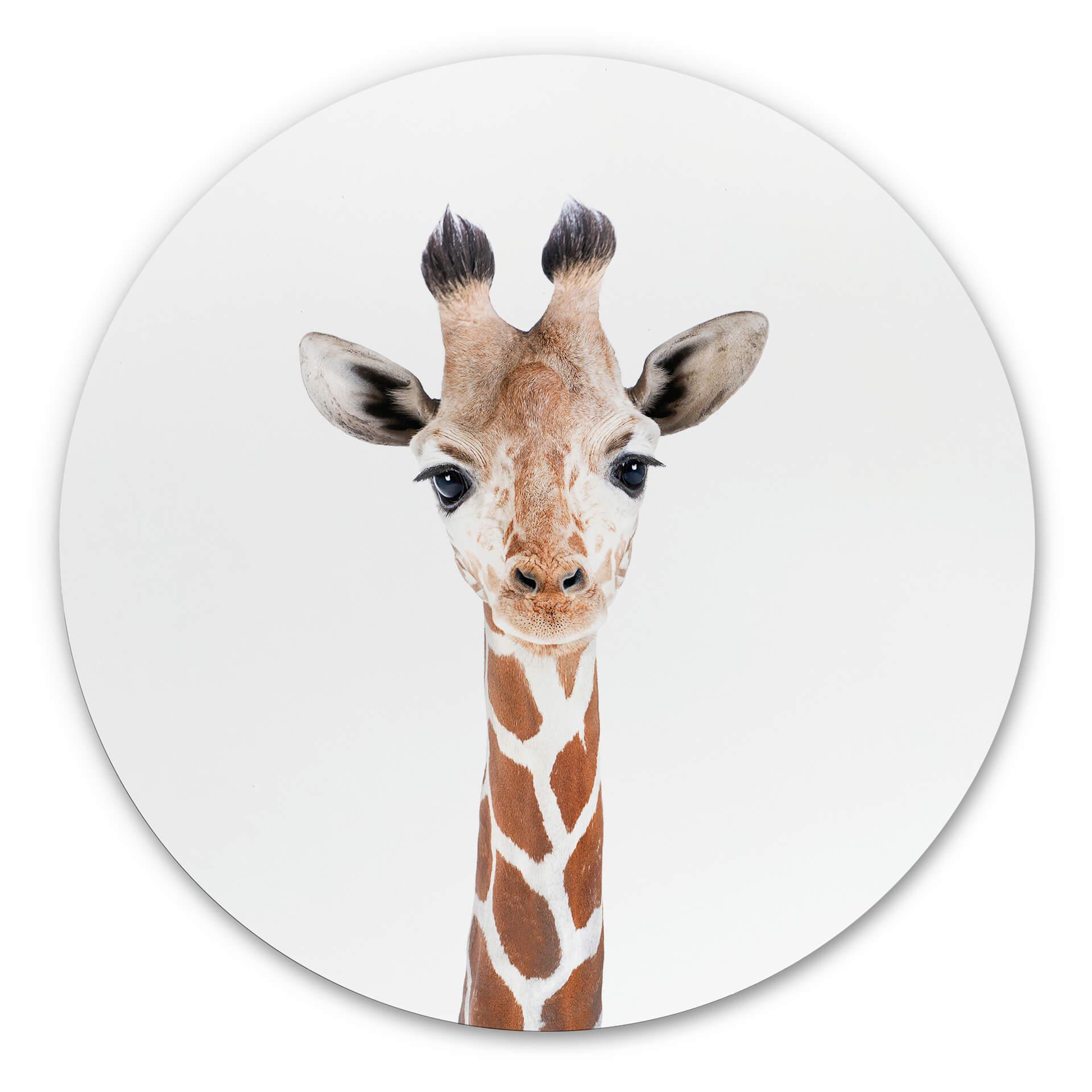Wandcirkel Sisi & Seb - Baby Giraffe