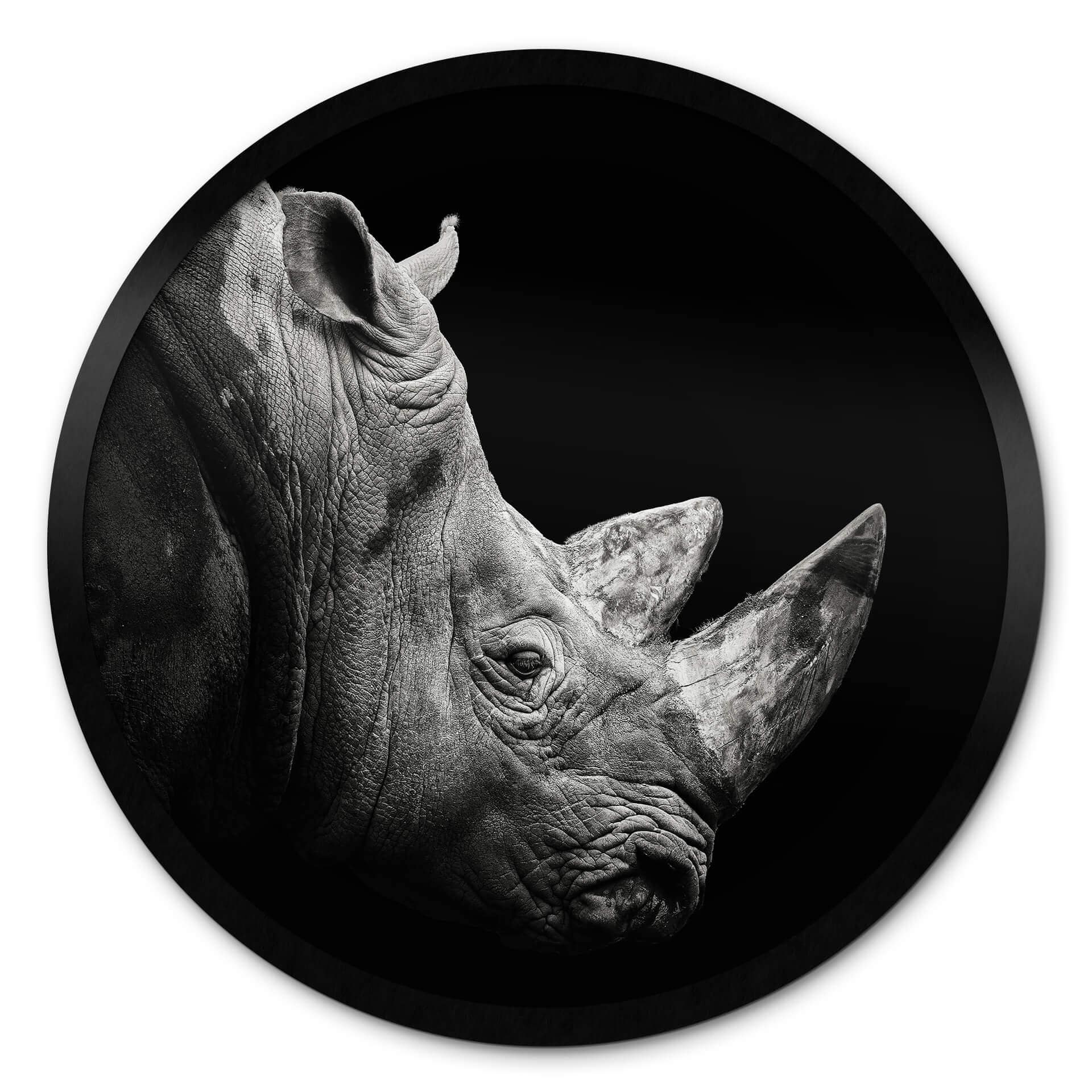 Plakat Meermann - Rhino