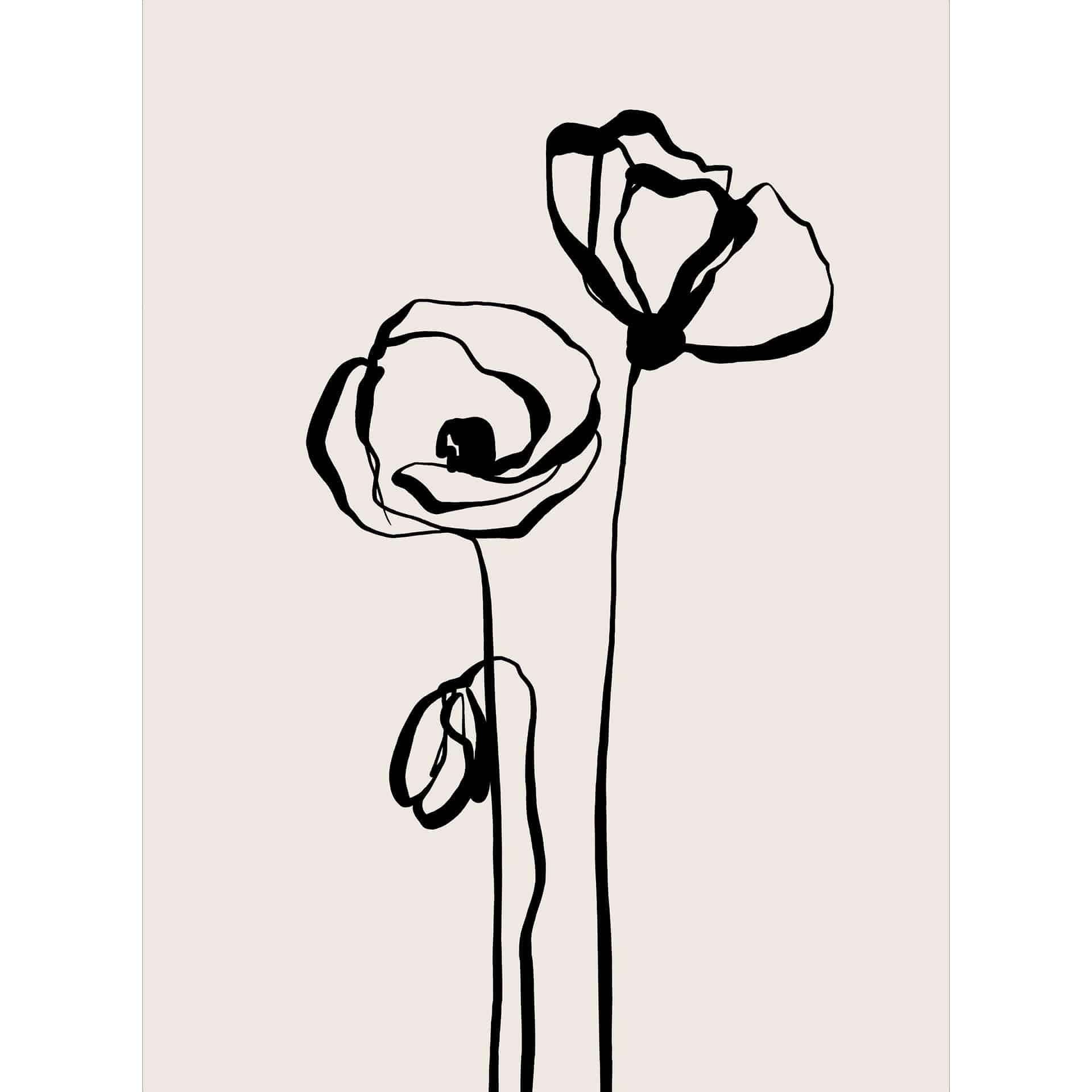 Bloemen Fotobehang Lijn Art Twee Klaprozen - Cats & Dotz