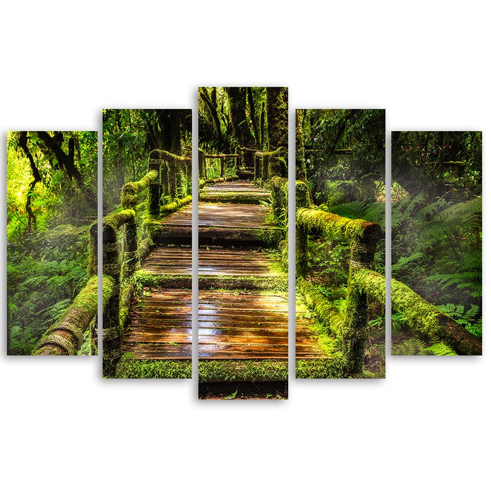 5-delige canvasprint Forest Bridge Nature Green