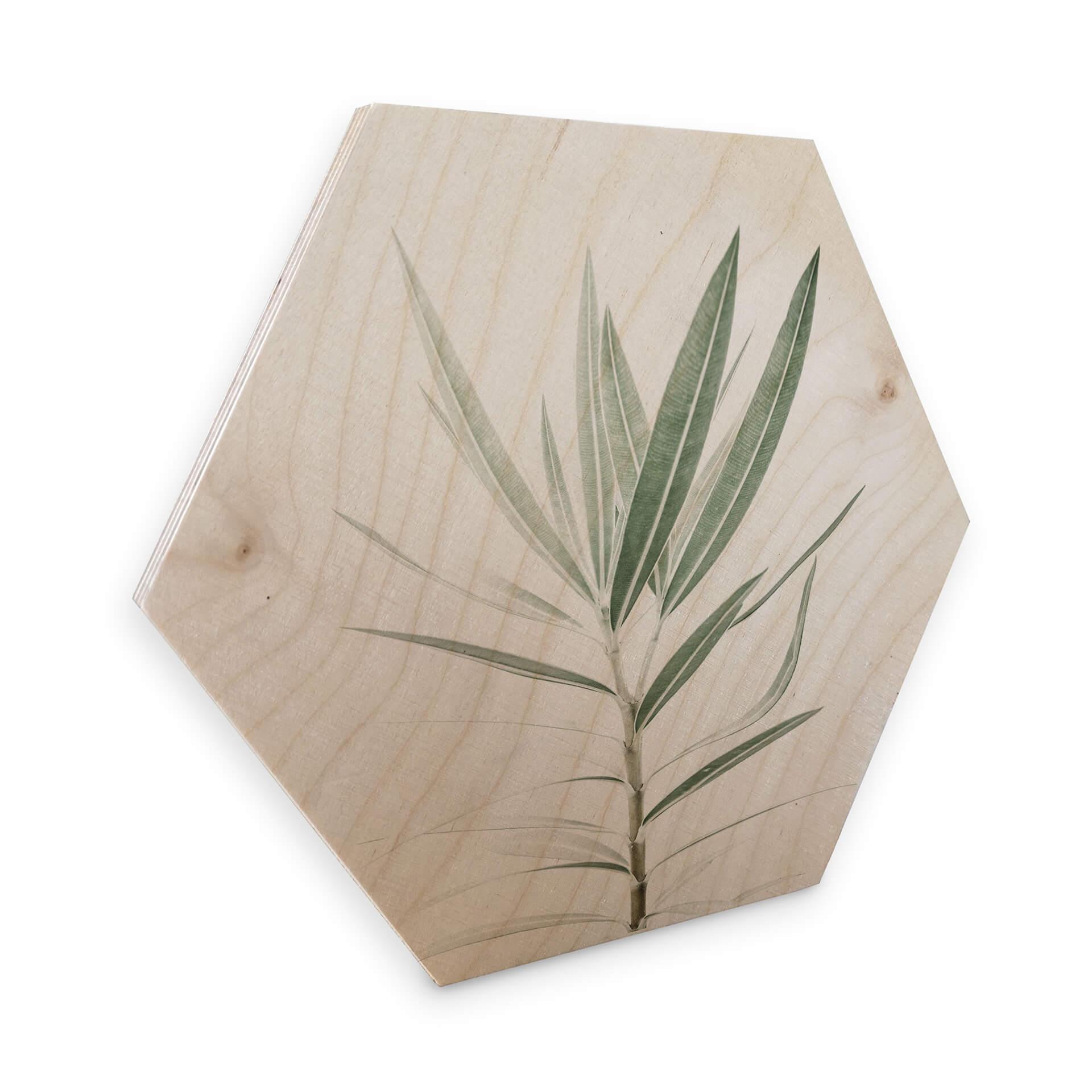 Hexagon Hout Sisi & Seb - Oleander