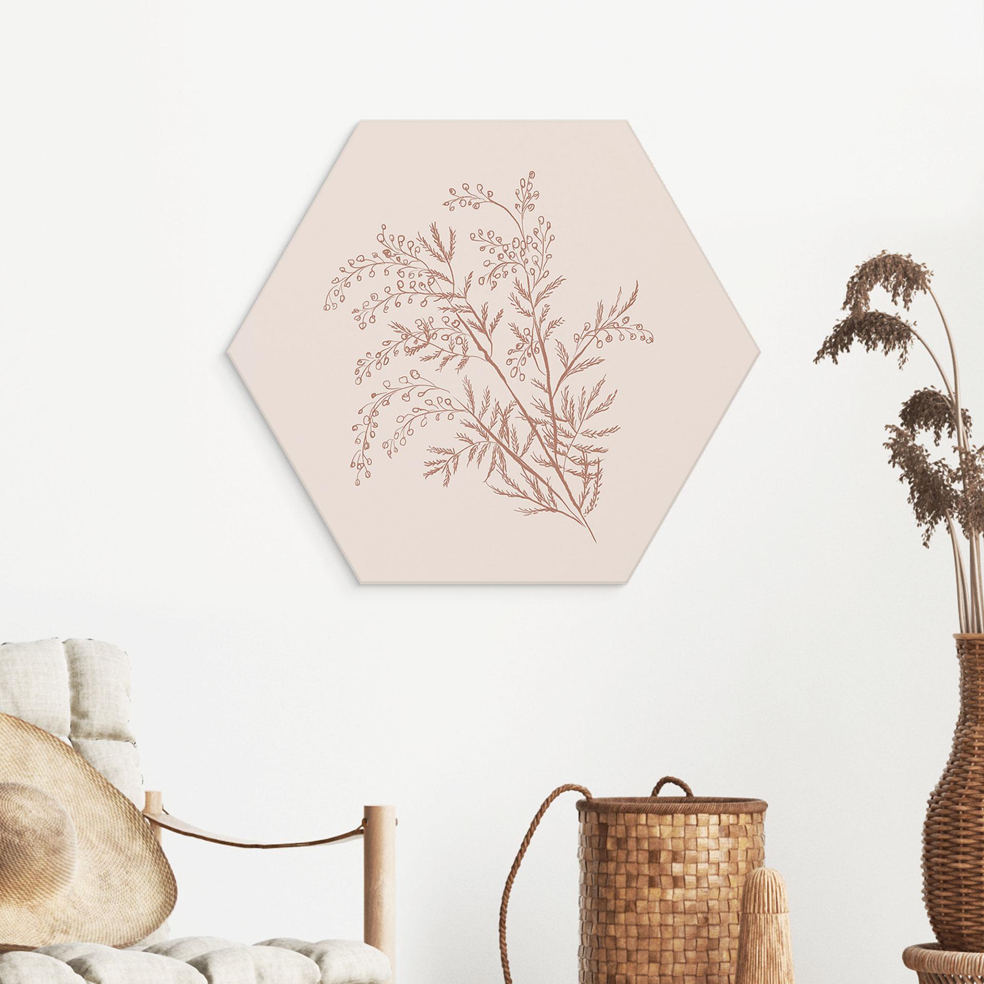 Sekskantet billede Gren af akacie i mokkafarver - Anis-illustration - Aluminium dibond