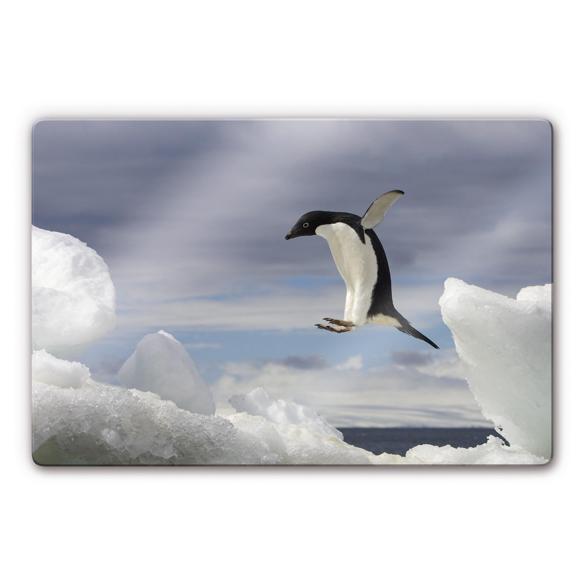 Tableau en verre - NG - Pingouin en vol