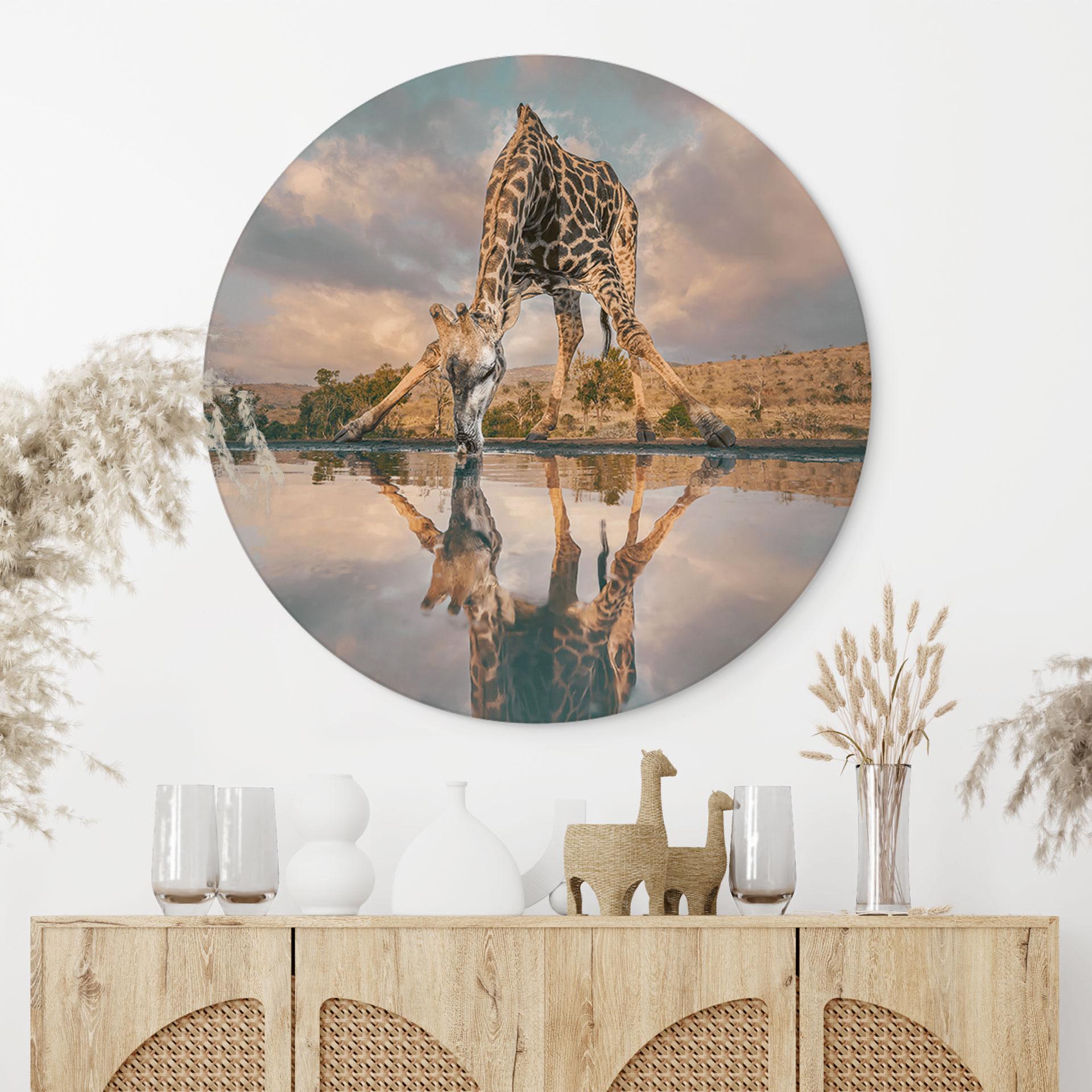 Fototapet Refleksion af en giraf i naturen - Amtmann - rund – print på aluminium (Alu-Dibond)