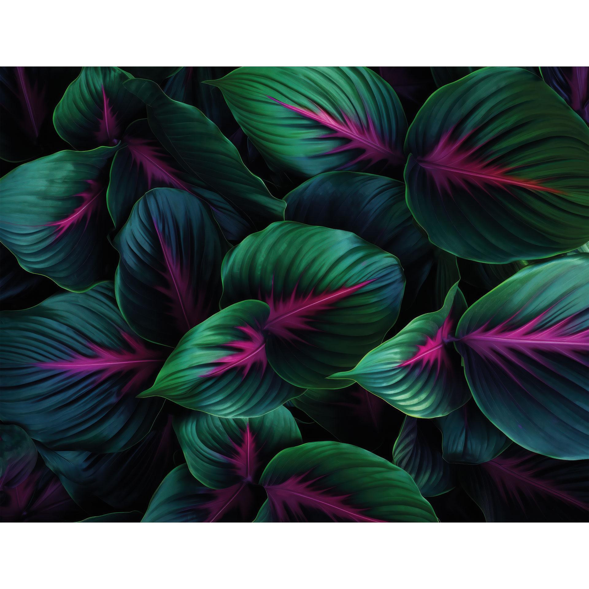 Fotobehang Kleurrijke jungleplanten - Paksoylu