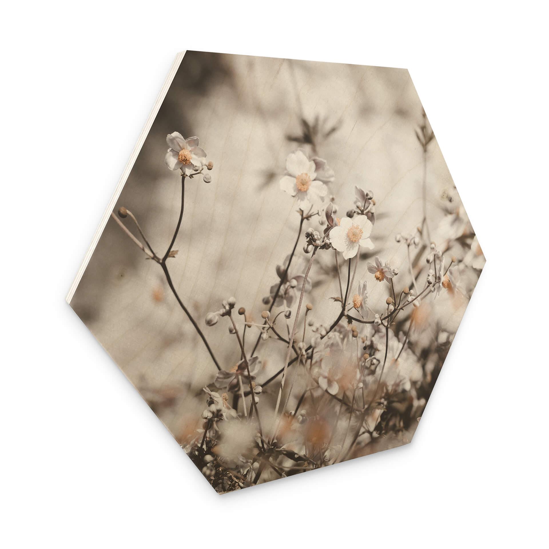 Hexagone - Bois Annie - Fleurs sauvages