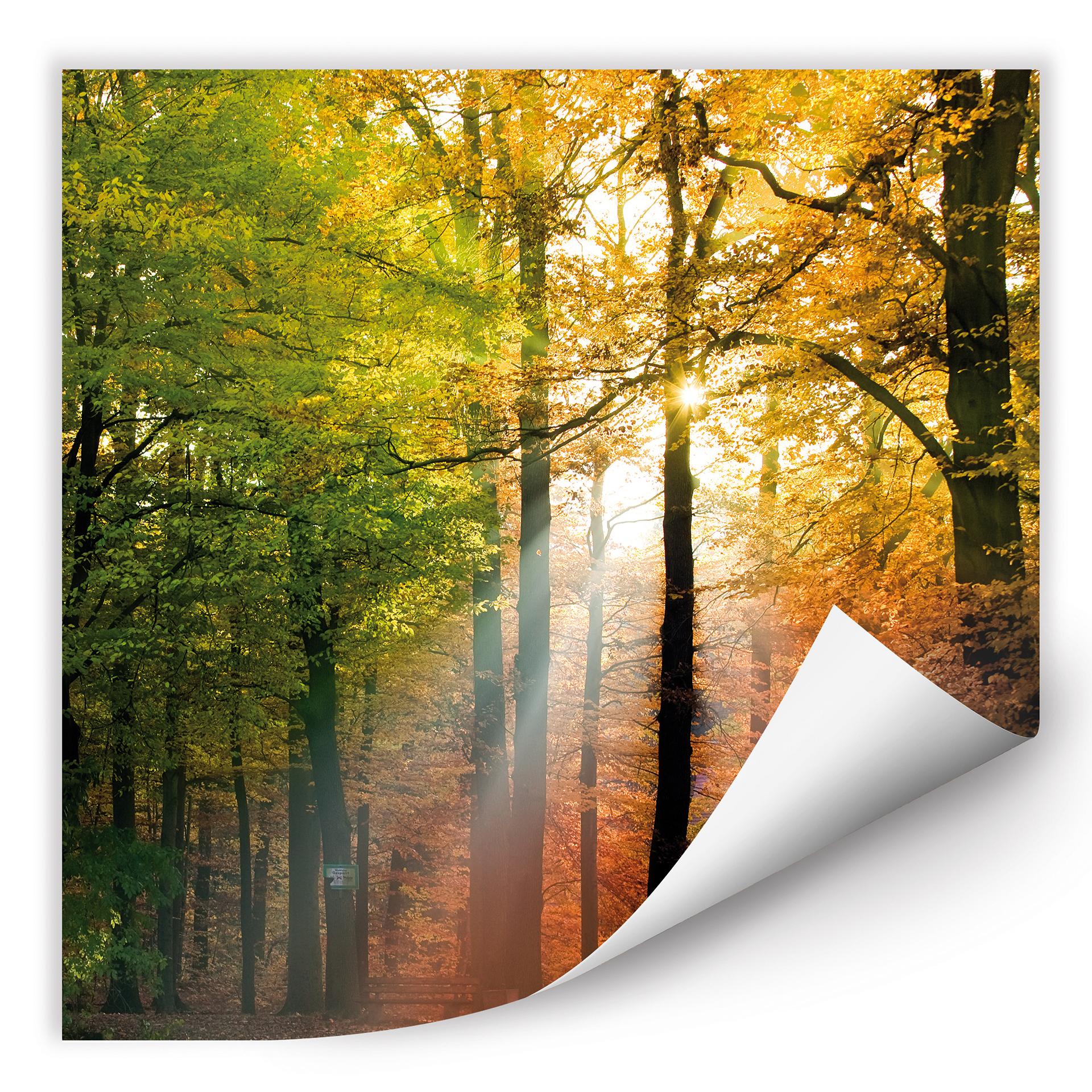 Poster autocollant - W - Un Jour d'Automne