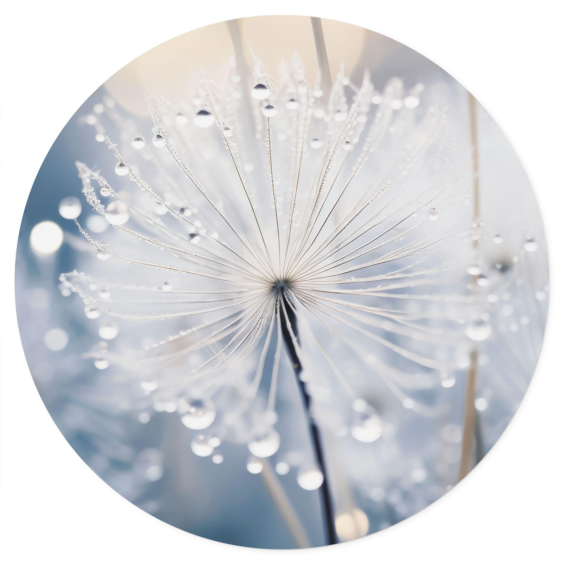 Muursticker Fonkelende paardenbloemen - Treechild - Rond