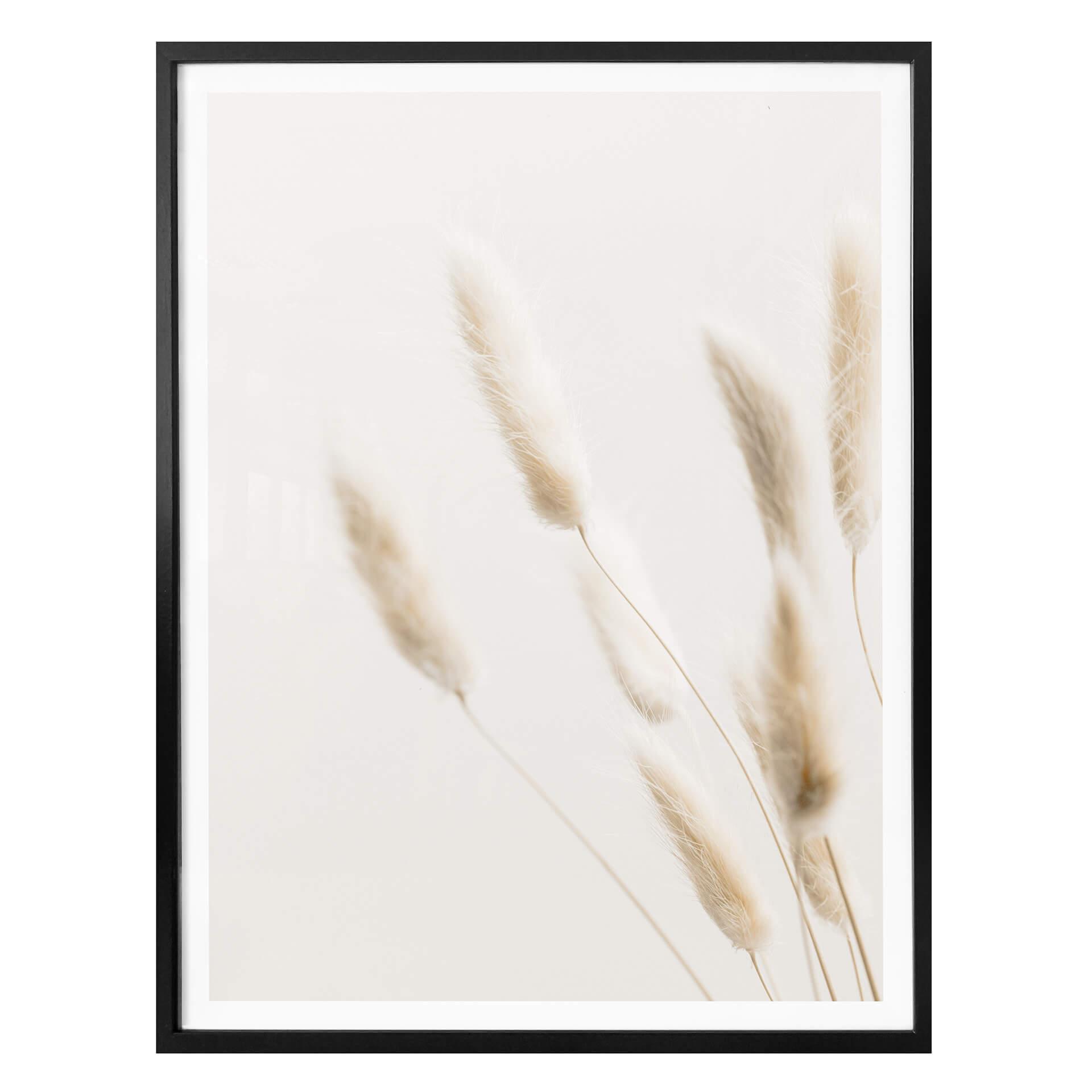 Plakat - 1X Studio - Grass