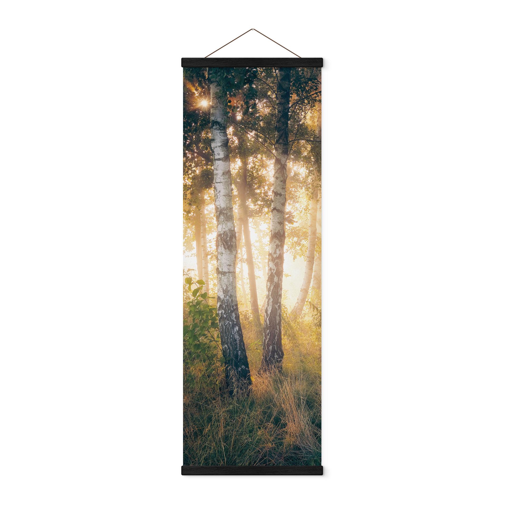 Tekstil plakat Solskin i en birkeskov - Kado - Panorama