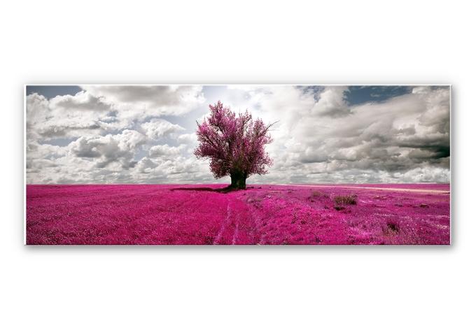Tableau Forex - The Lonely Tree - Panorama