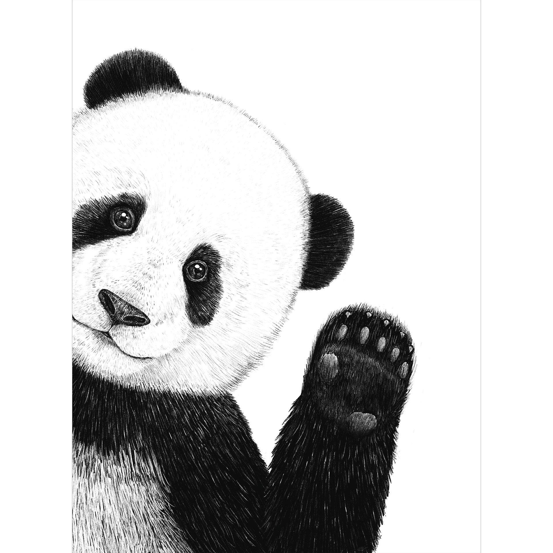 Zwaaiende panda muurschildering - Korenkova
