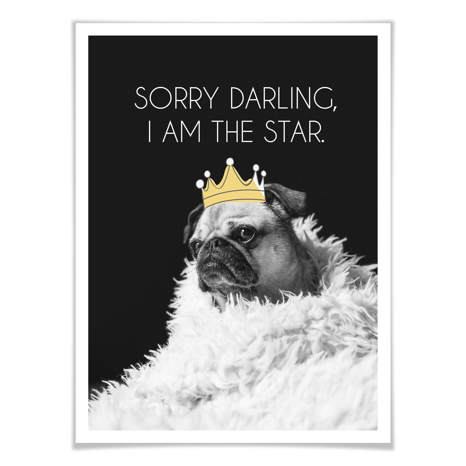 Póster Lo siento cariño, soy la estrella