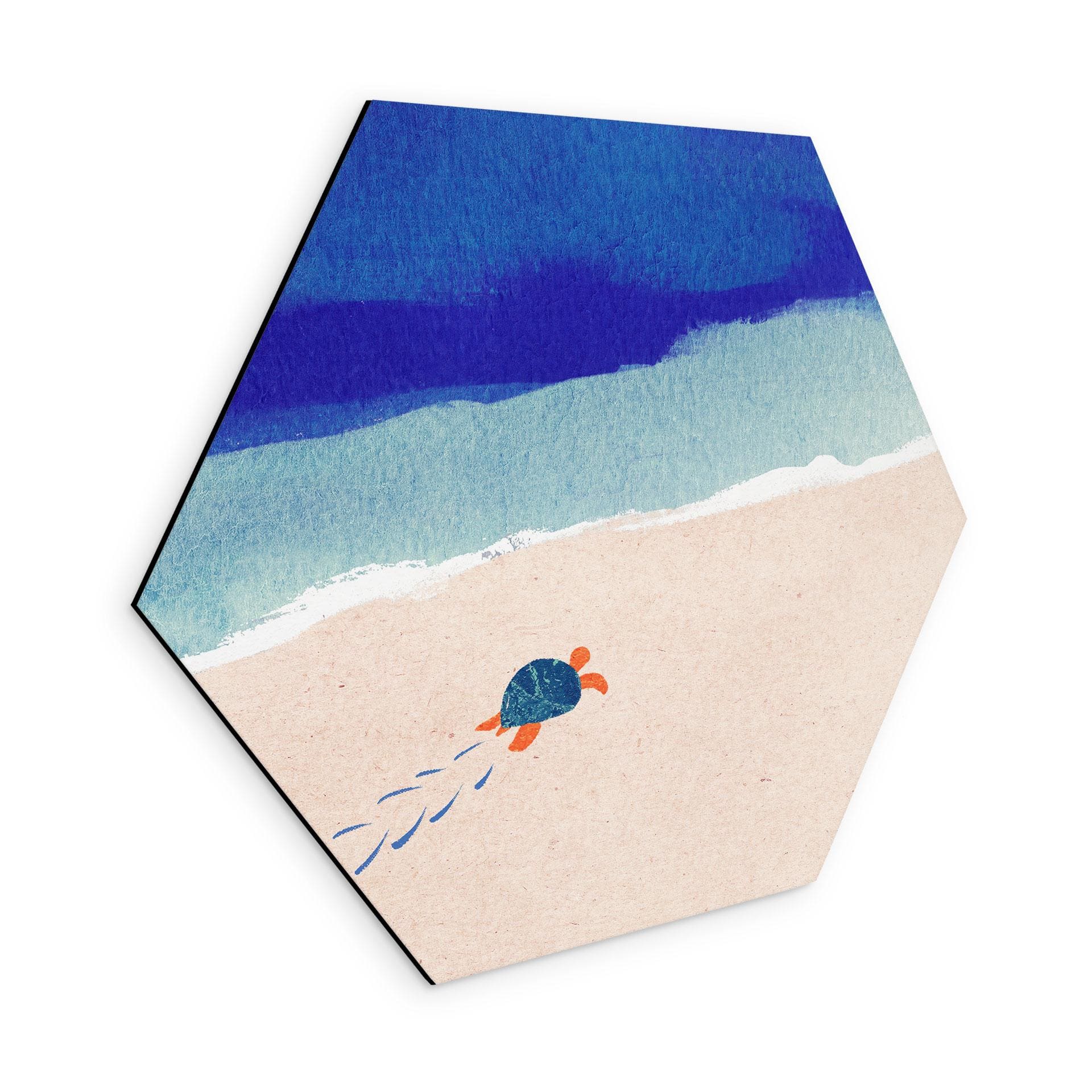 Hexagon Wanddecoratie Kleine schildpad aan zee - Rivers - Alu-Dibond