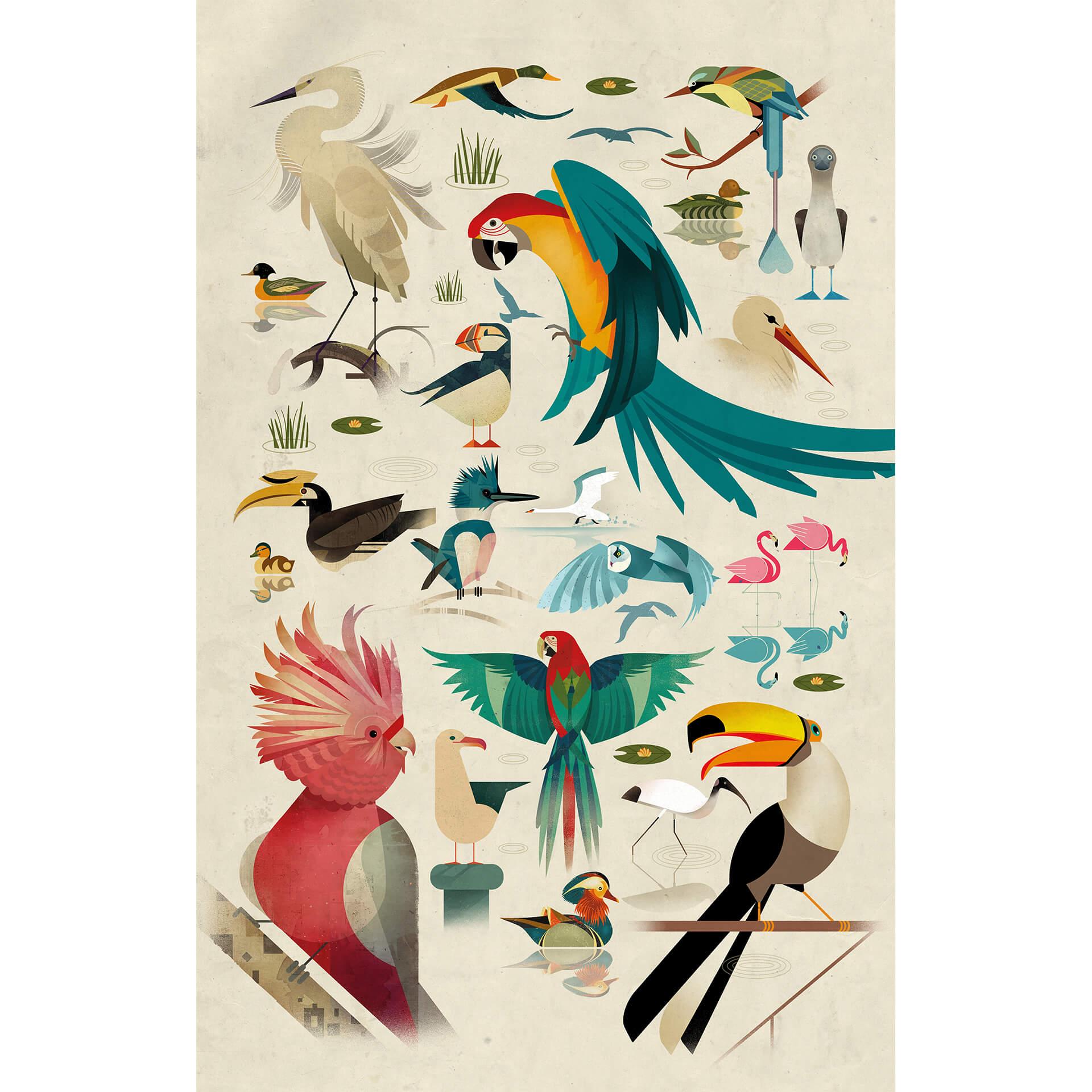 Fototapete Braun - Birds