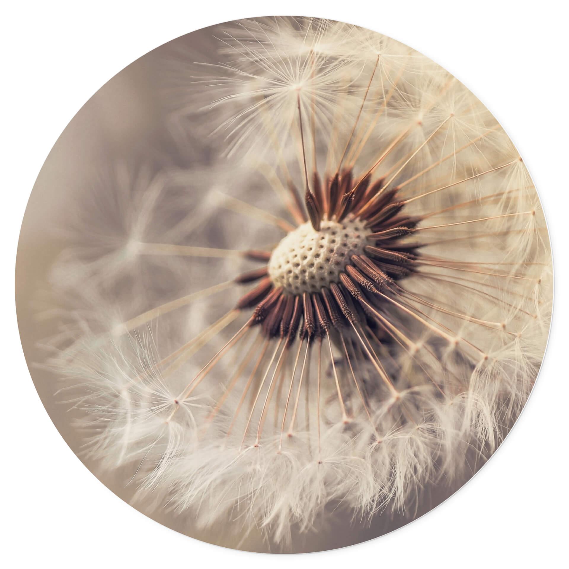 Muursticker rond Delgado - Paardenbloemen