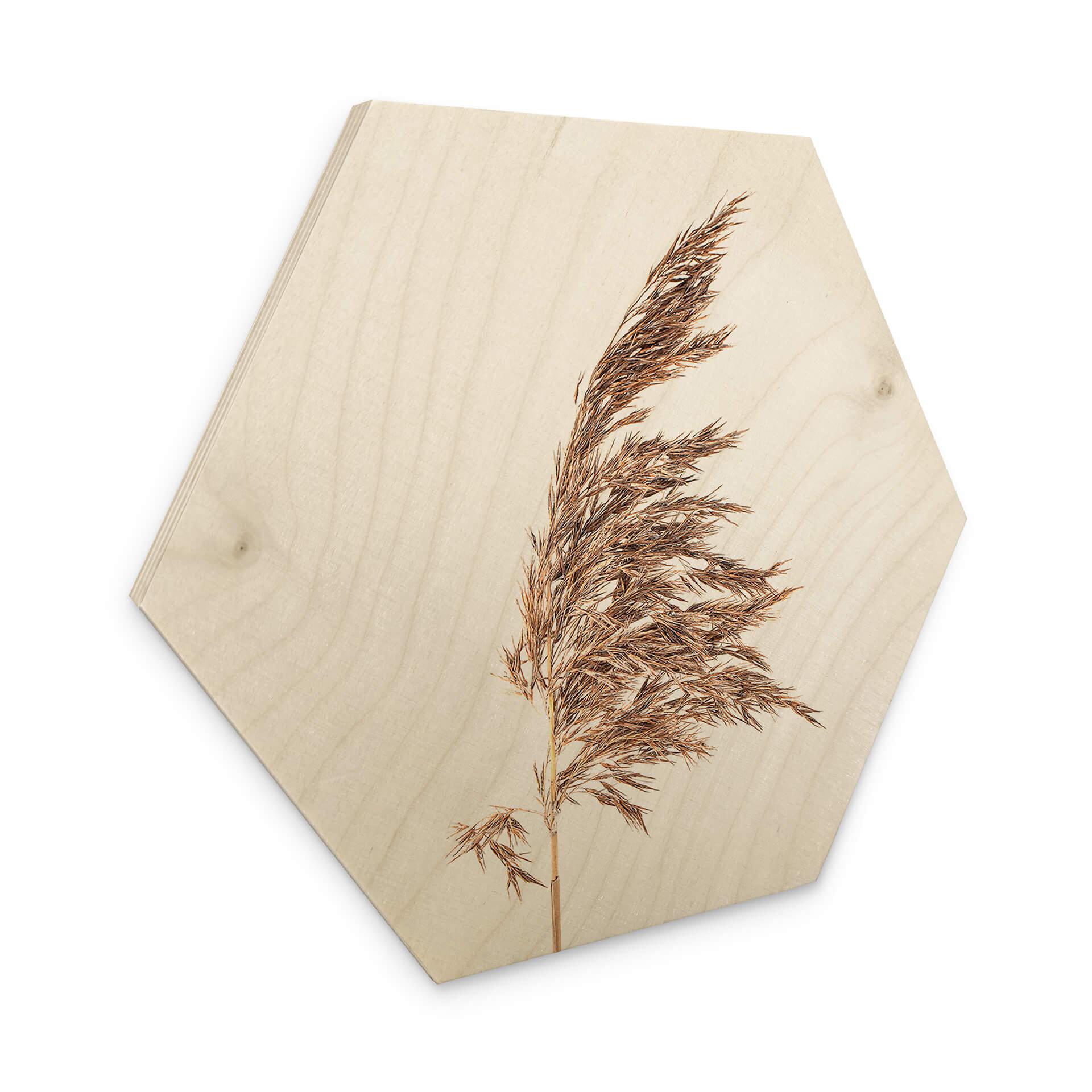 Hexagon Hout Siergras No. 2