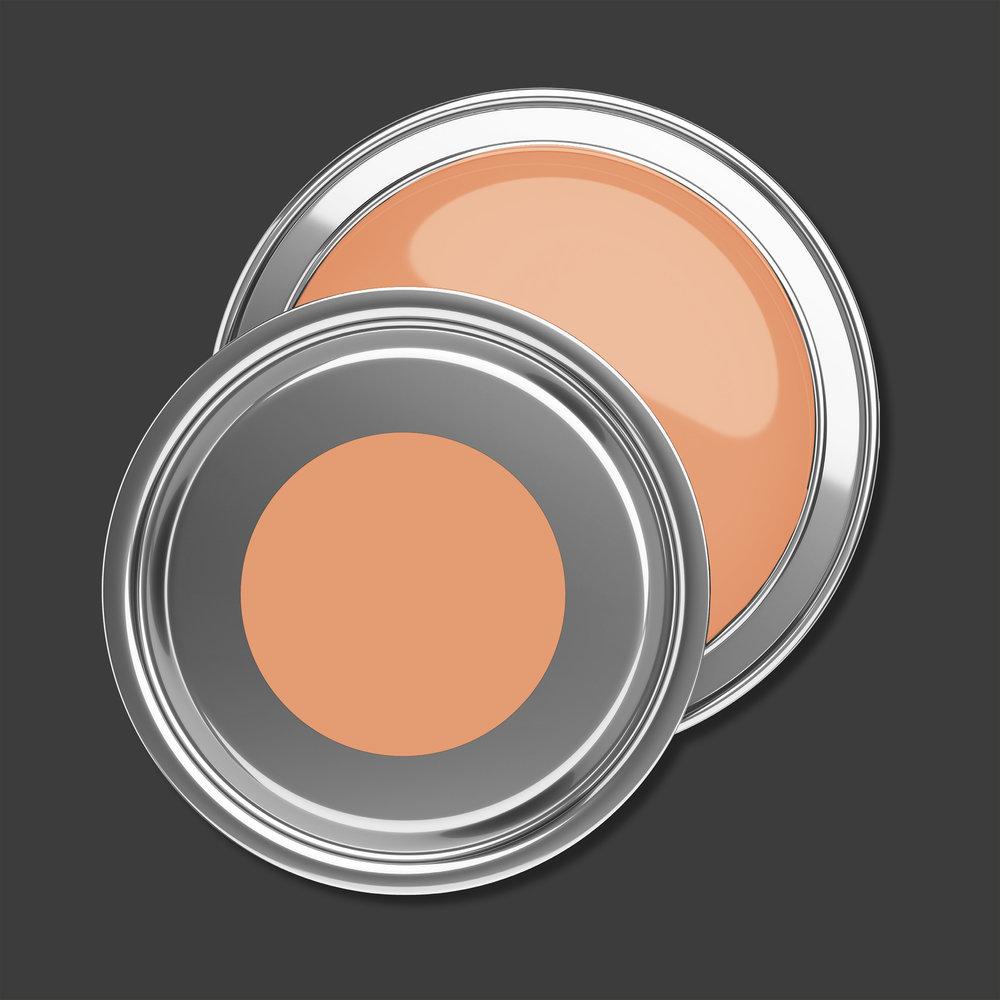 Pintura interior mate - PURO c9002 naranja polvoriento