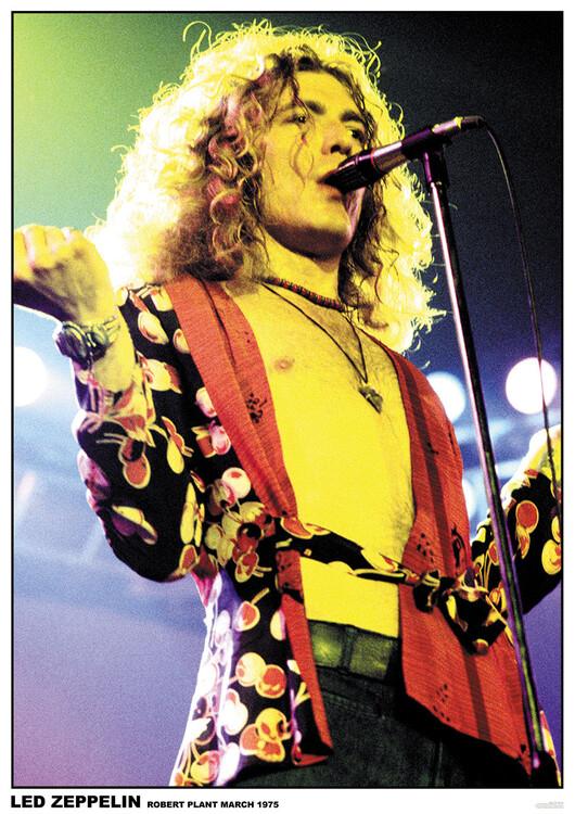 Plakat Led Zppelin - Robert Plant, Plakat (59,4 x 84,1 cm)
