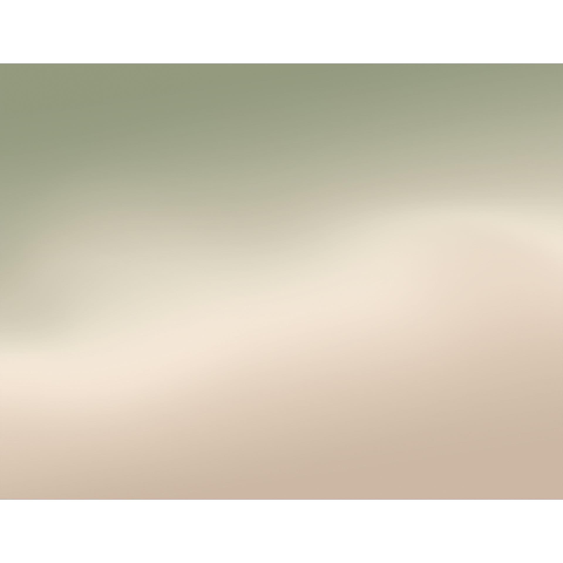 Fotobehang Ombre - Bosmist