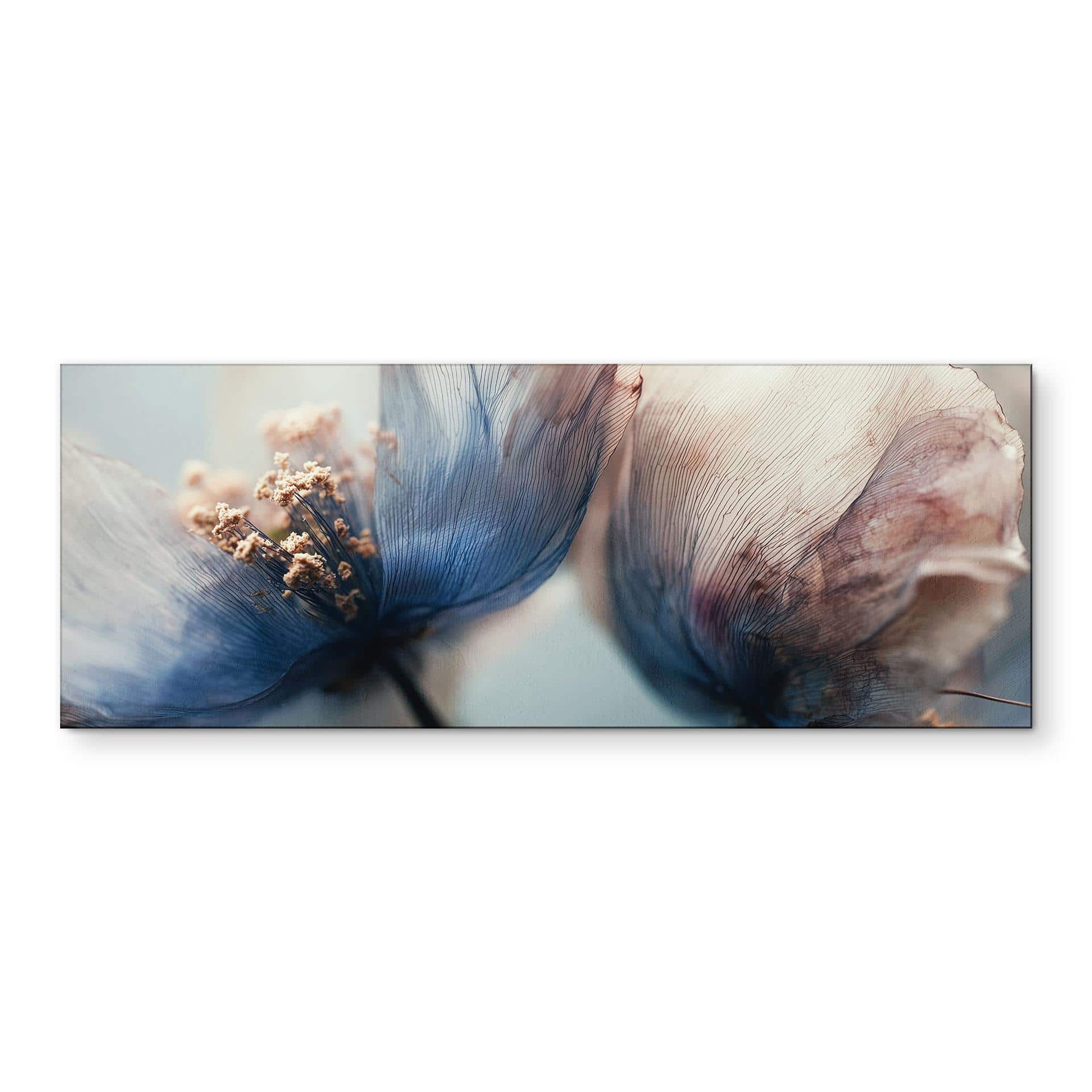 Fototapet Filigran tørrede blomster i lyset - Treechild panorama – print på aluminium