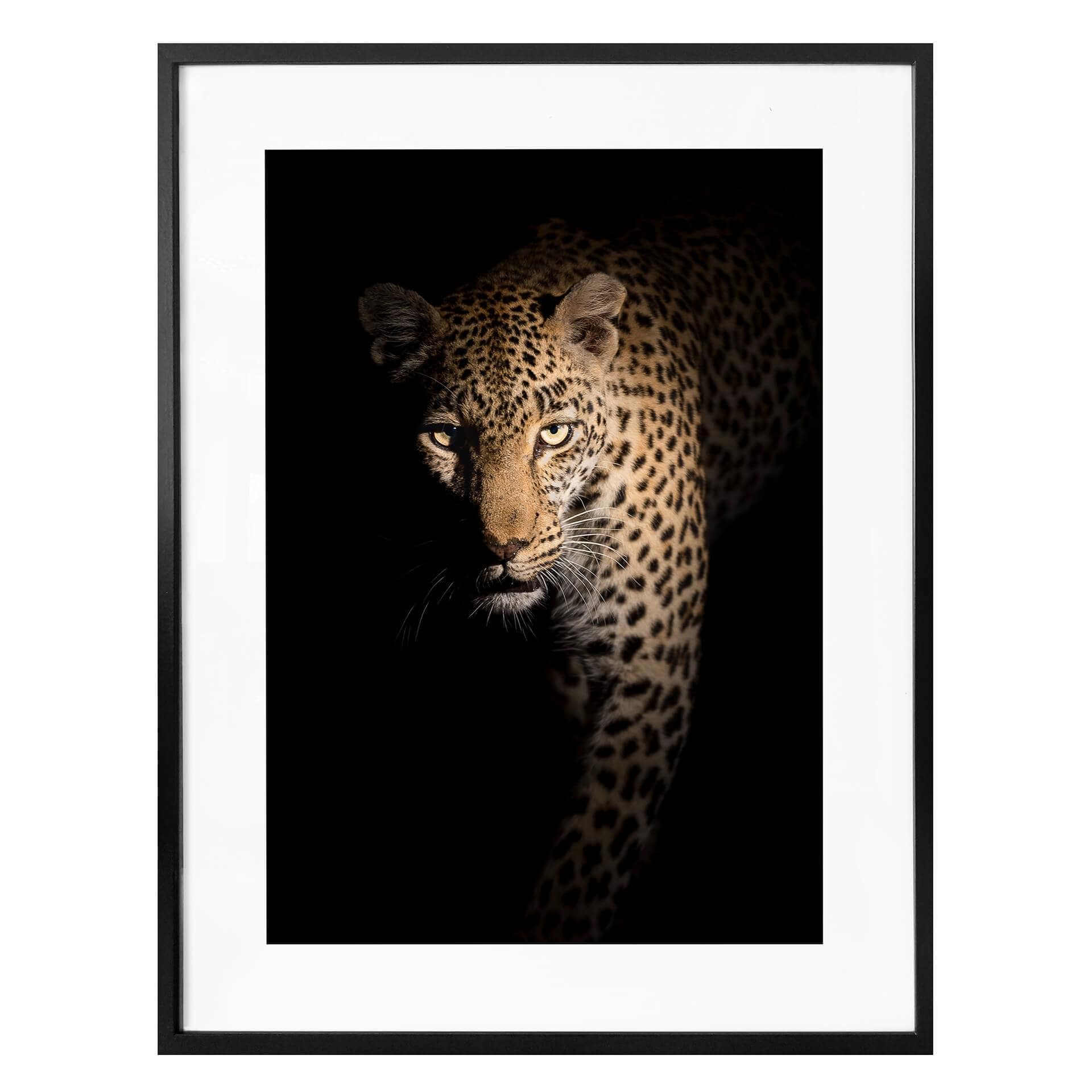 Póster Guijt - El Leopardo
