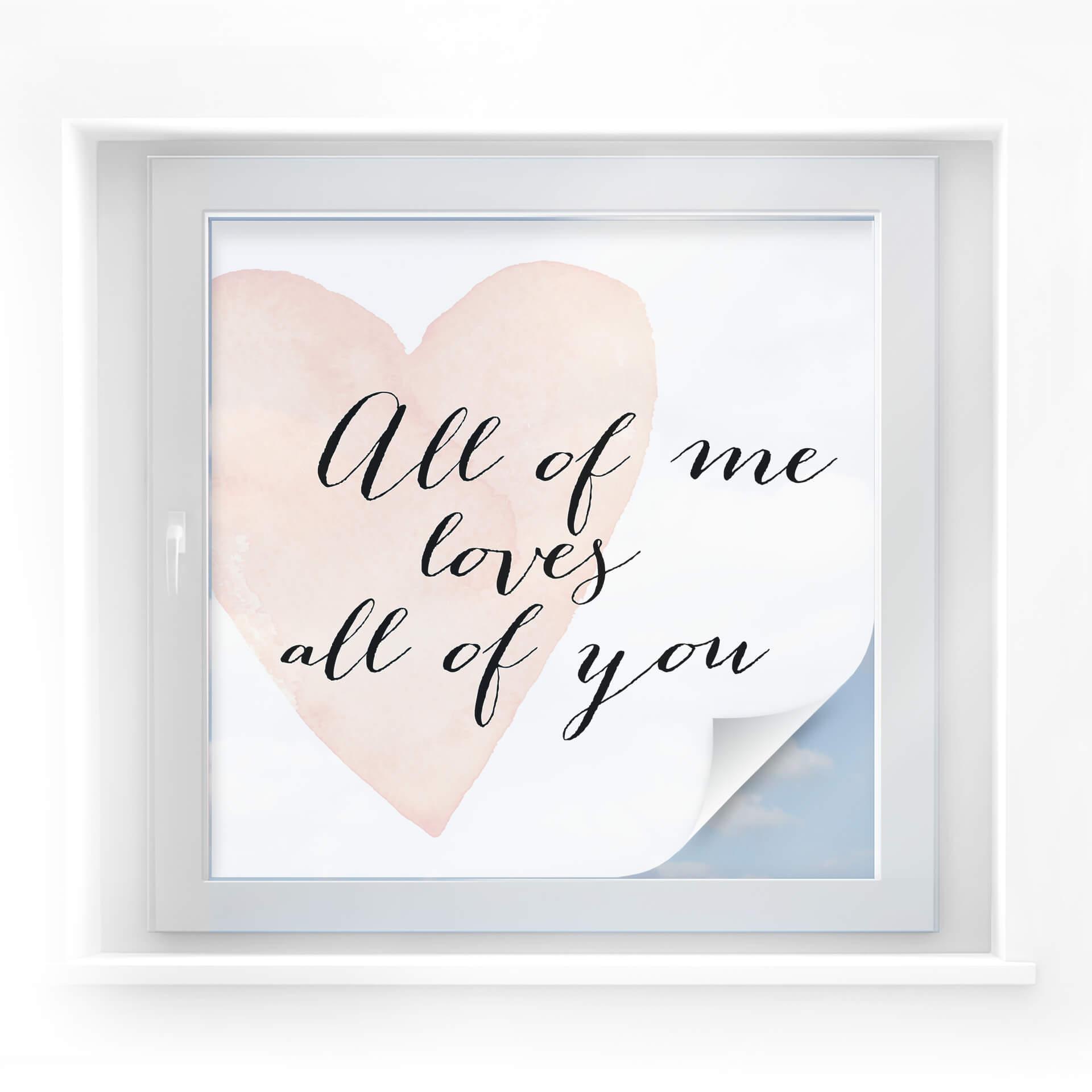 Confetti & Cream privacy film - All of me loves all of you