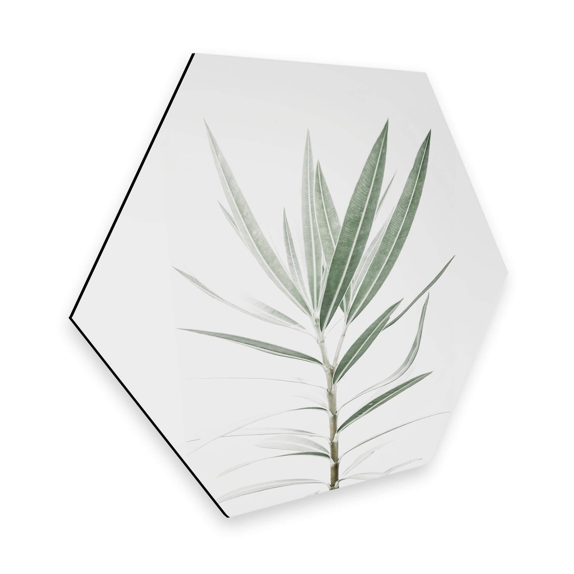 Hexagon Dibond Sisi & Seb - Oleander