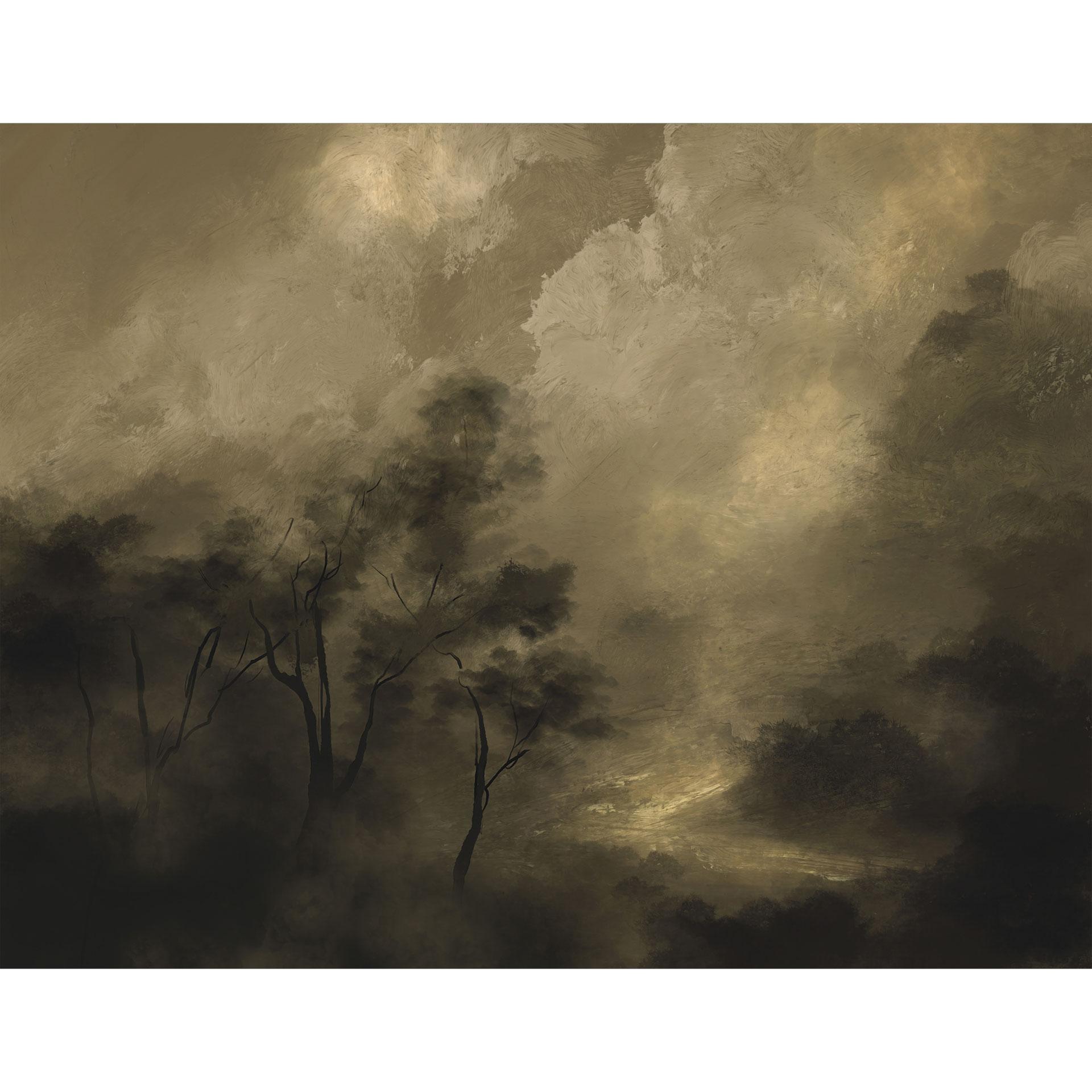 Bomen in de schemerige mist Fotobehang - Hobday