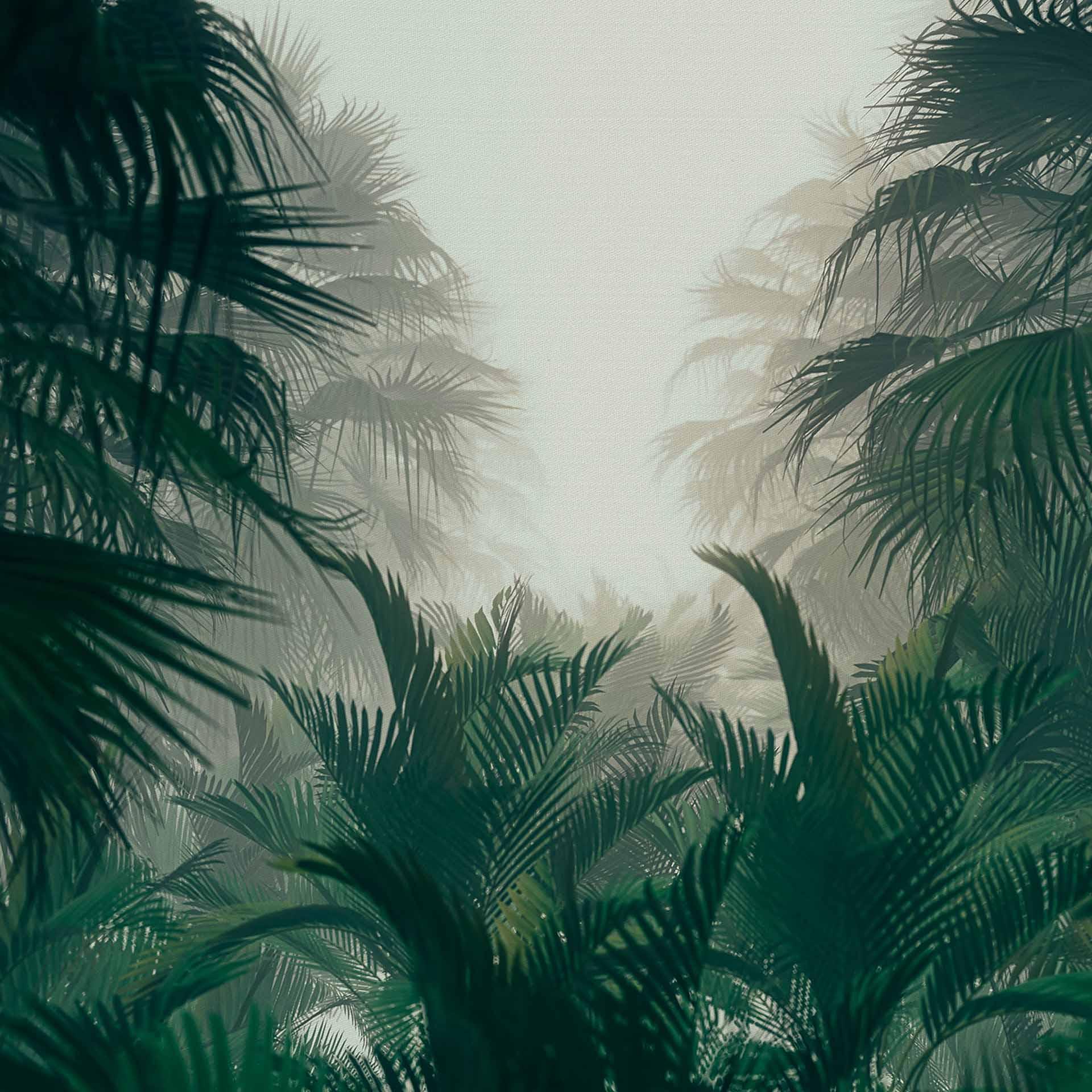 Nature PalmBos behang in crème groen - vliesbehang Designwalls 2 - 2,55 x 3,5 m