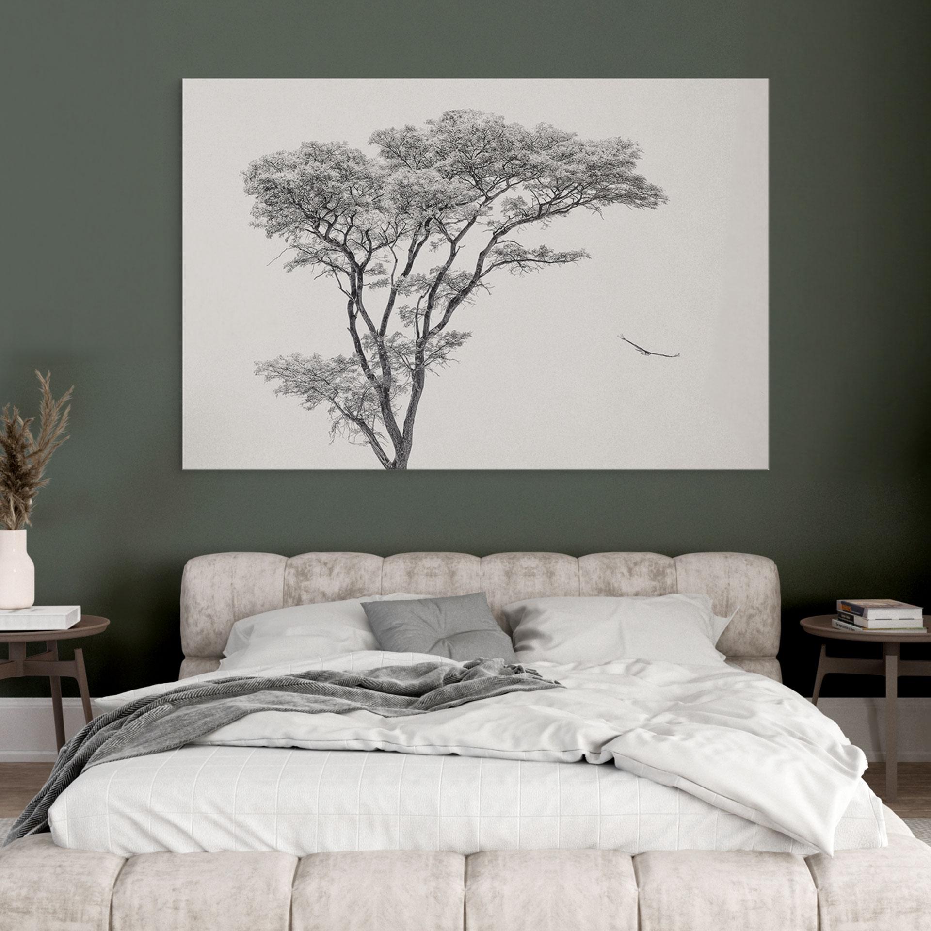 Wandbild Minimalistischer Baum in ruhiger Landschaft - Flour - Alu-Dibond