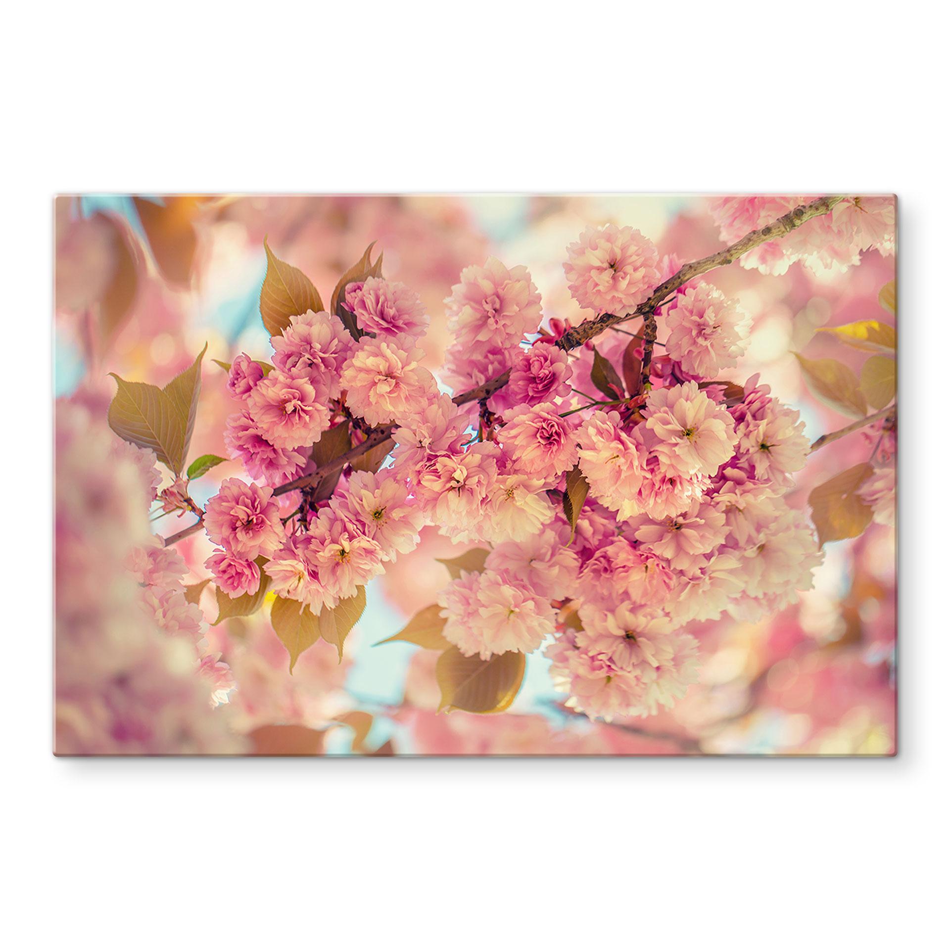 Spritzschutz Delgado - Kirschblüten