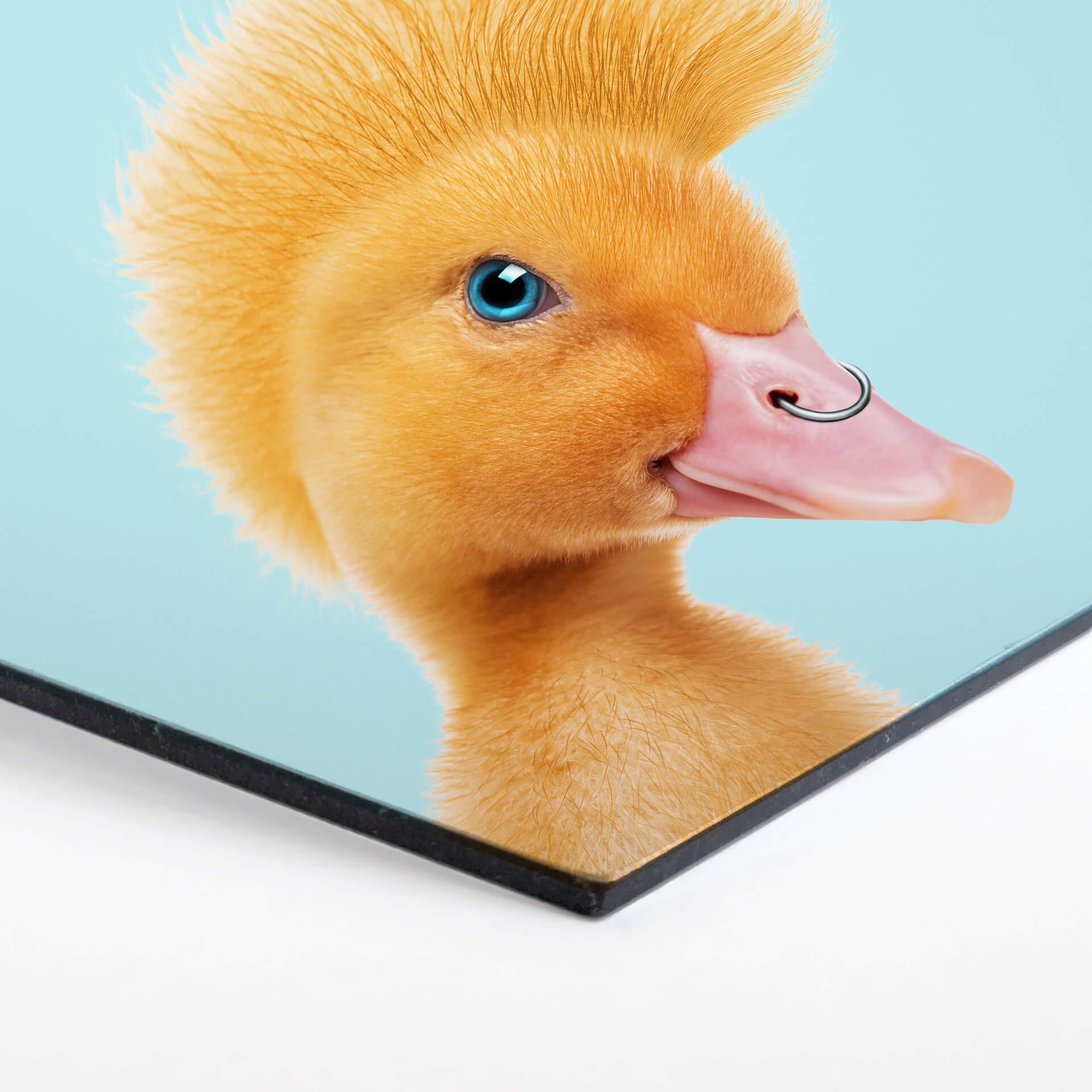 Hexagon - Alu-Dibond Loose - Rebel Duckling
