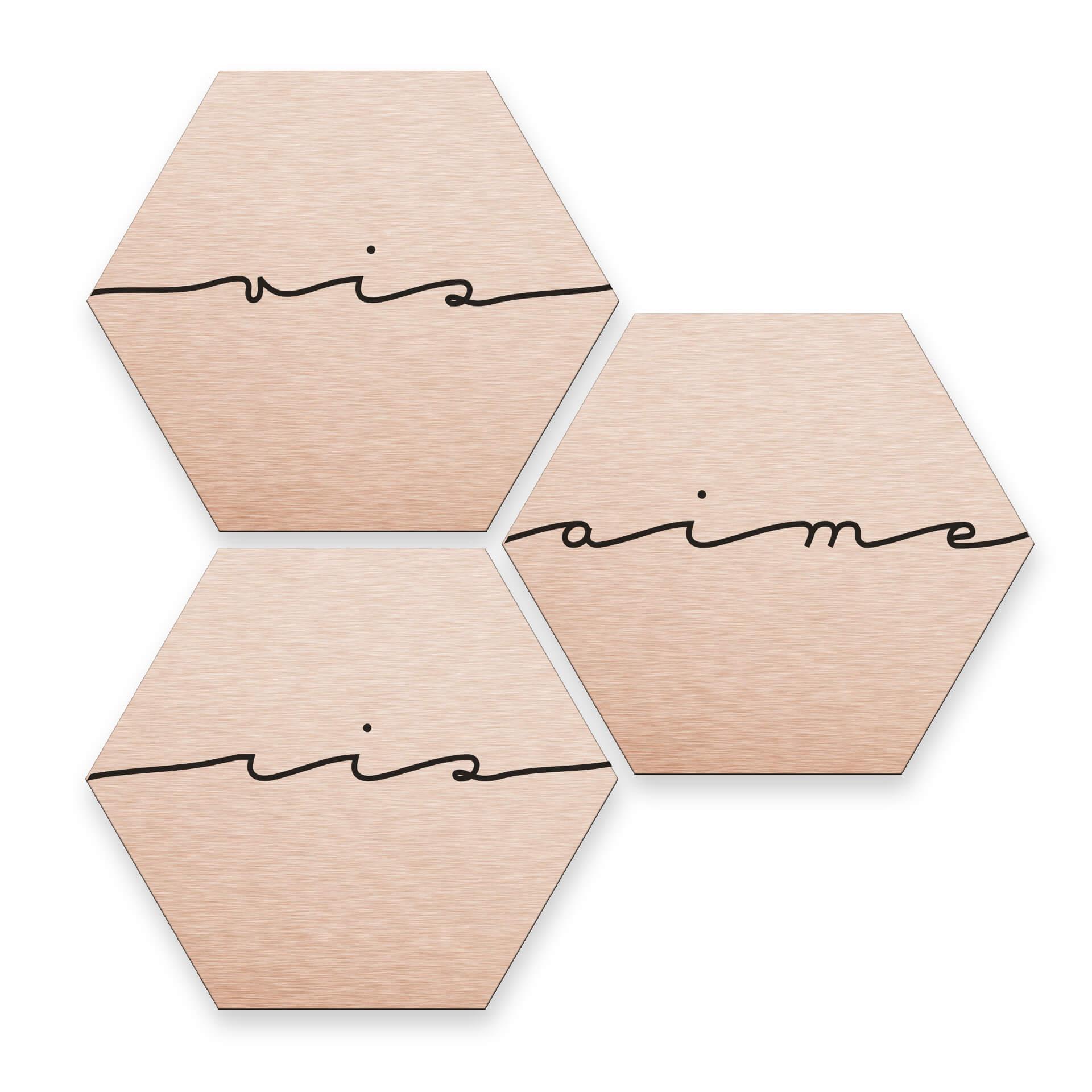 Hexagon Alu-Dibond Kopereffect - Vis Ris Raime (set van 3)