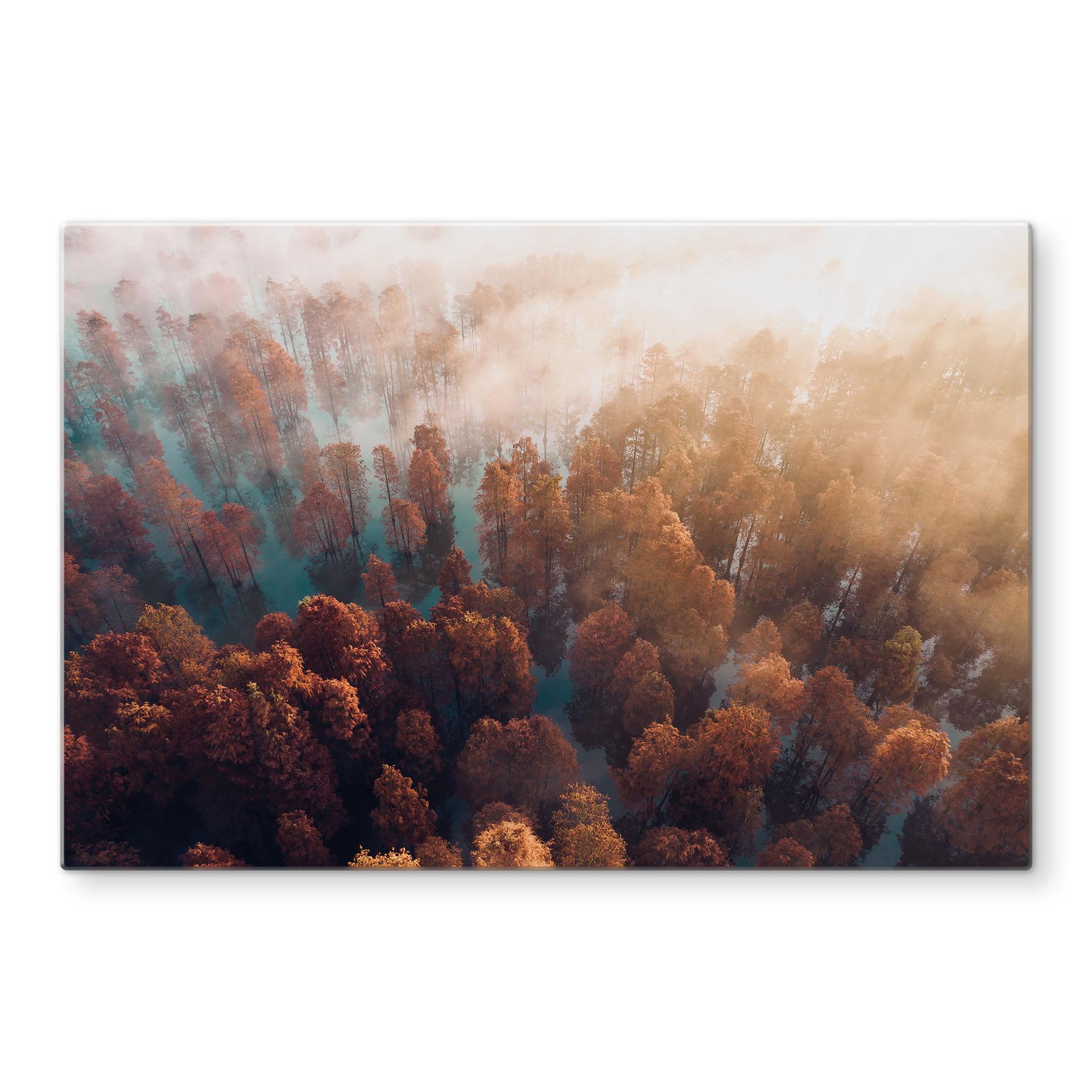 Spritzschutz Herbstwald im Nebel - Ioricon