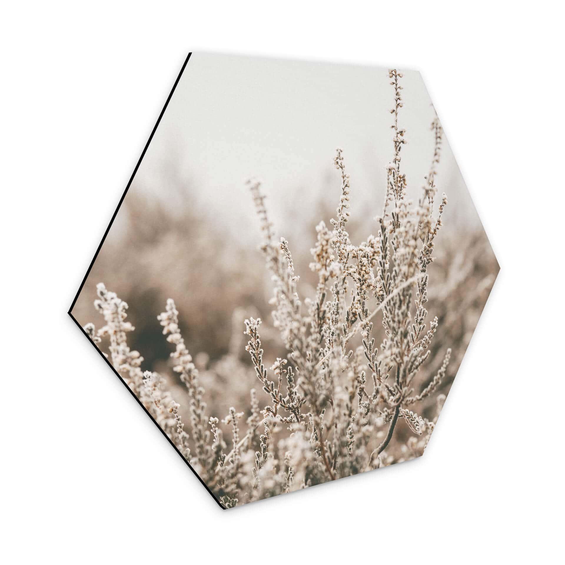 Hexagone - Alu-Dibond Annie - Herbes