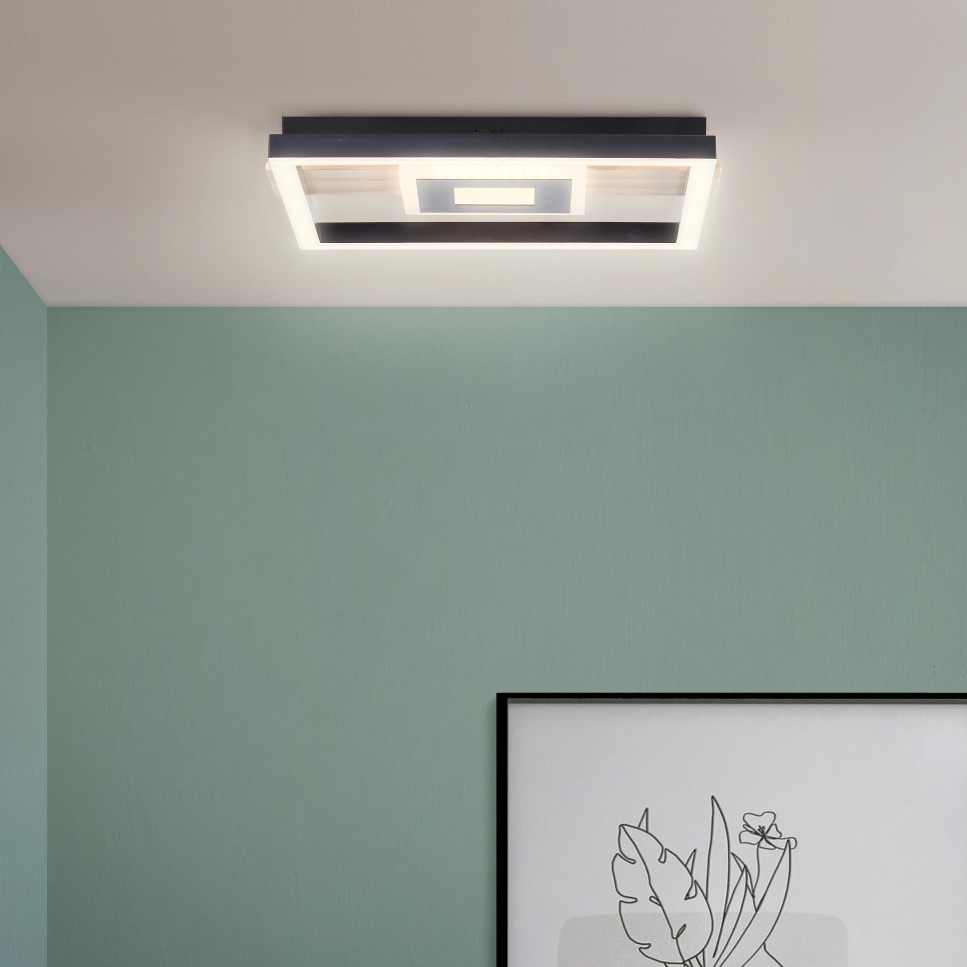 Deckenleuchte Aras, braun, 27,5 x 29,5 cm, Metall Lampe