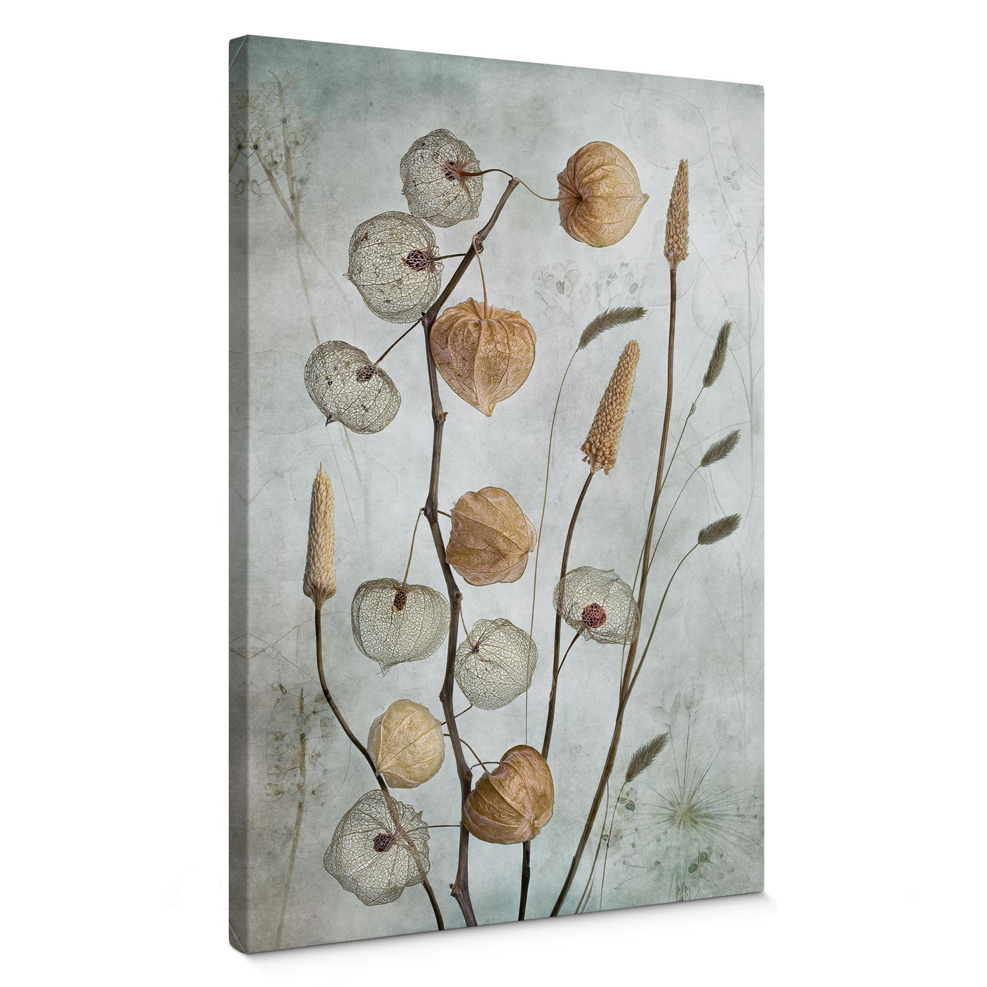 Lærredsprint - Tørrede lanterneblomster - Disher