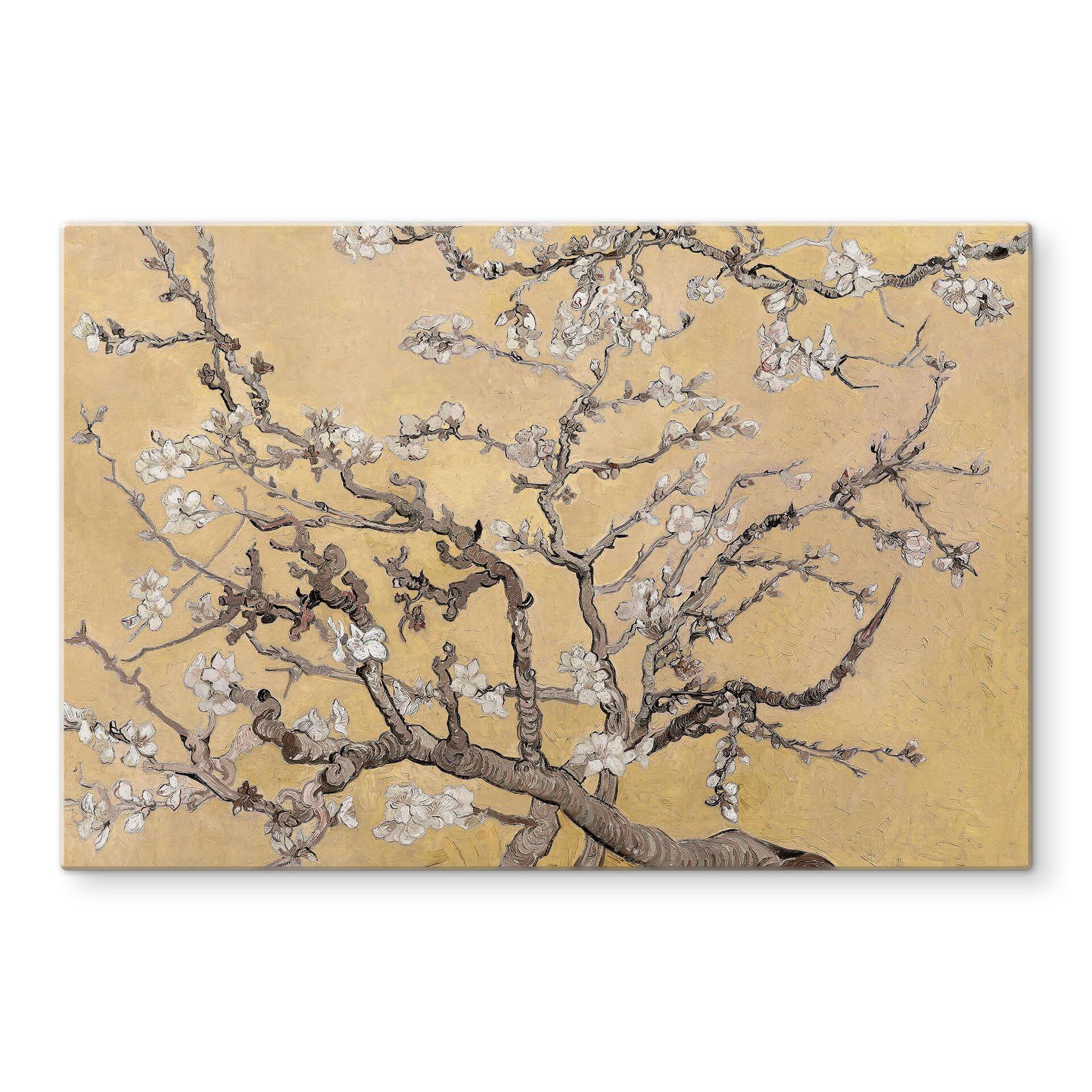 Stænkplade - van Gogh - Mandelblomst creme