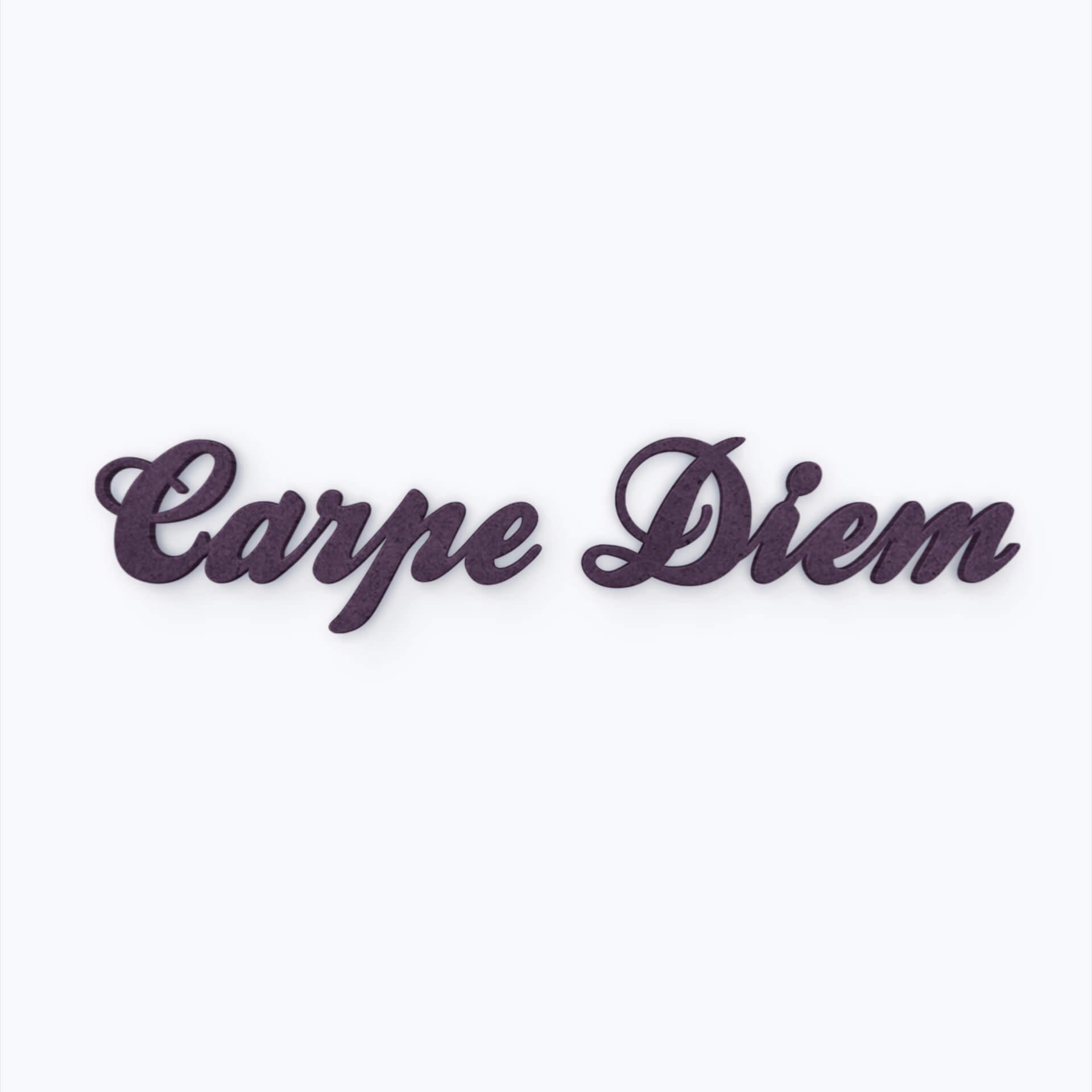 Lettere in legno MDF Carpe Diem