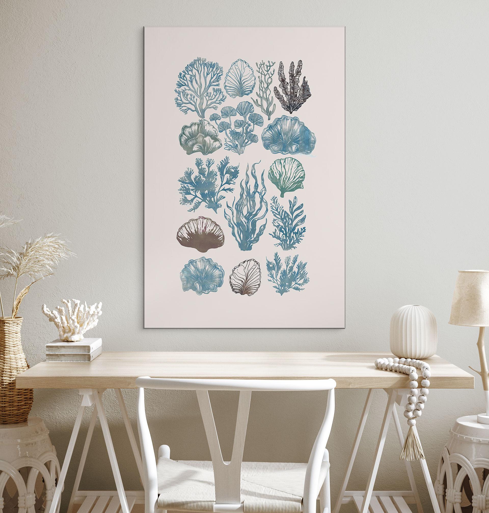 Billede Filigran alger og skaller - casa cartissi – print på aluminium (Alu-Dibond)